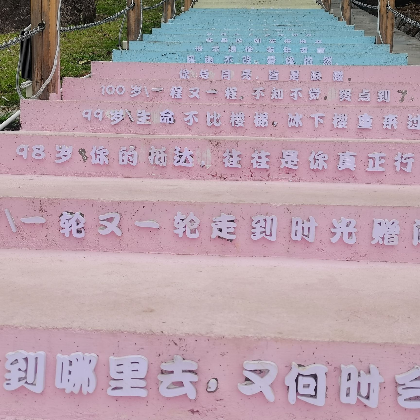 成缘谷旅行图片 3