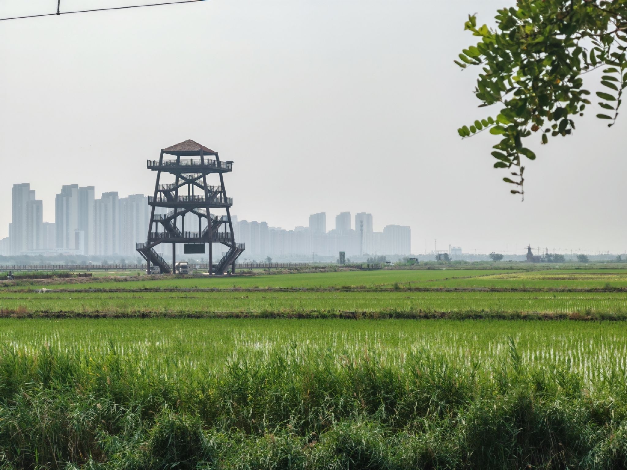 西青区王稳庄镇生态绿廊瞭望塔旅行图片 1