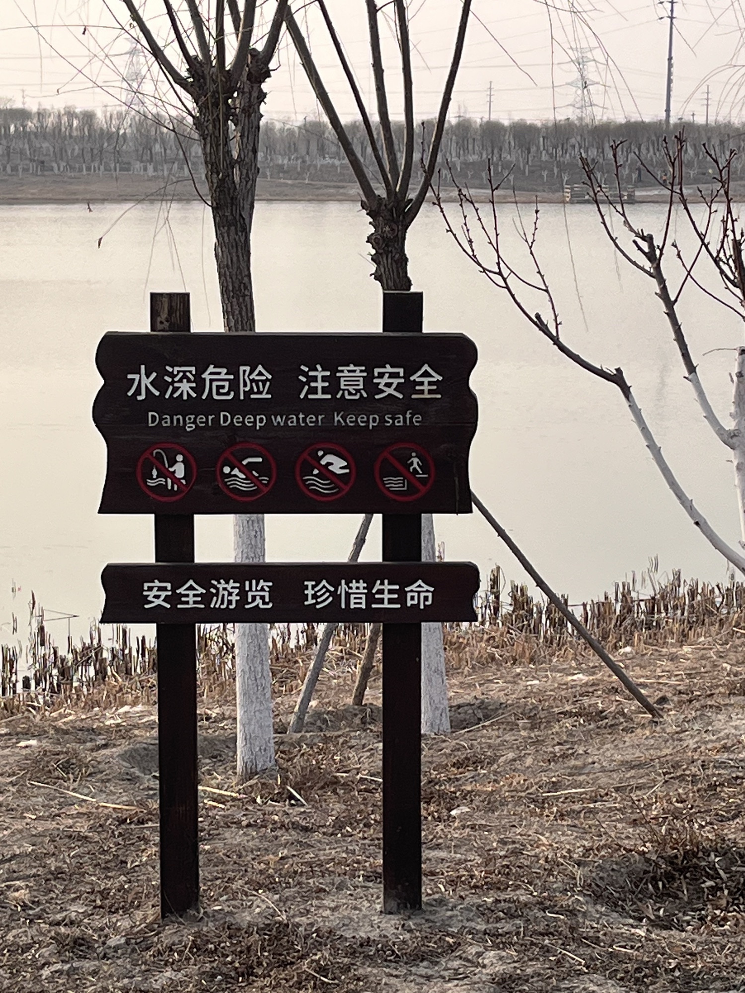 西青区王稳庄镇生态绿廊瞭望塔旅行图片 2