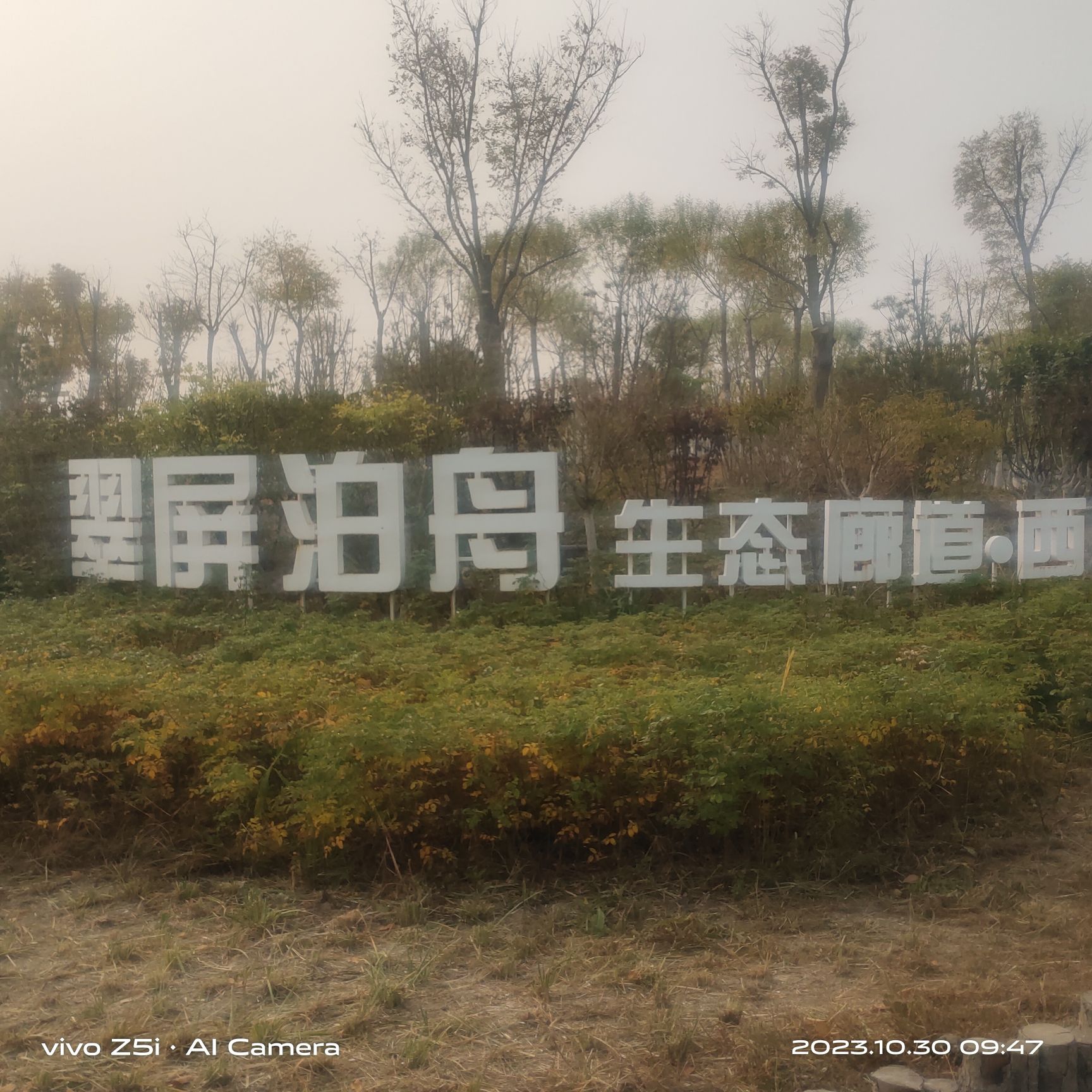 西青区王稳庄镇生态绿廊瞭望塔旅行图片 3