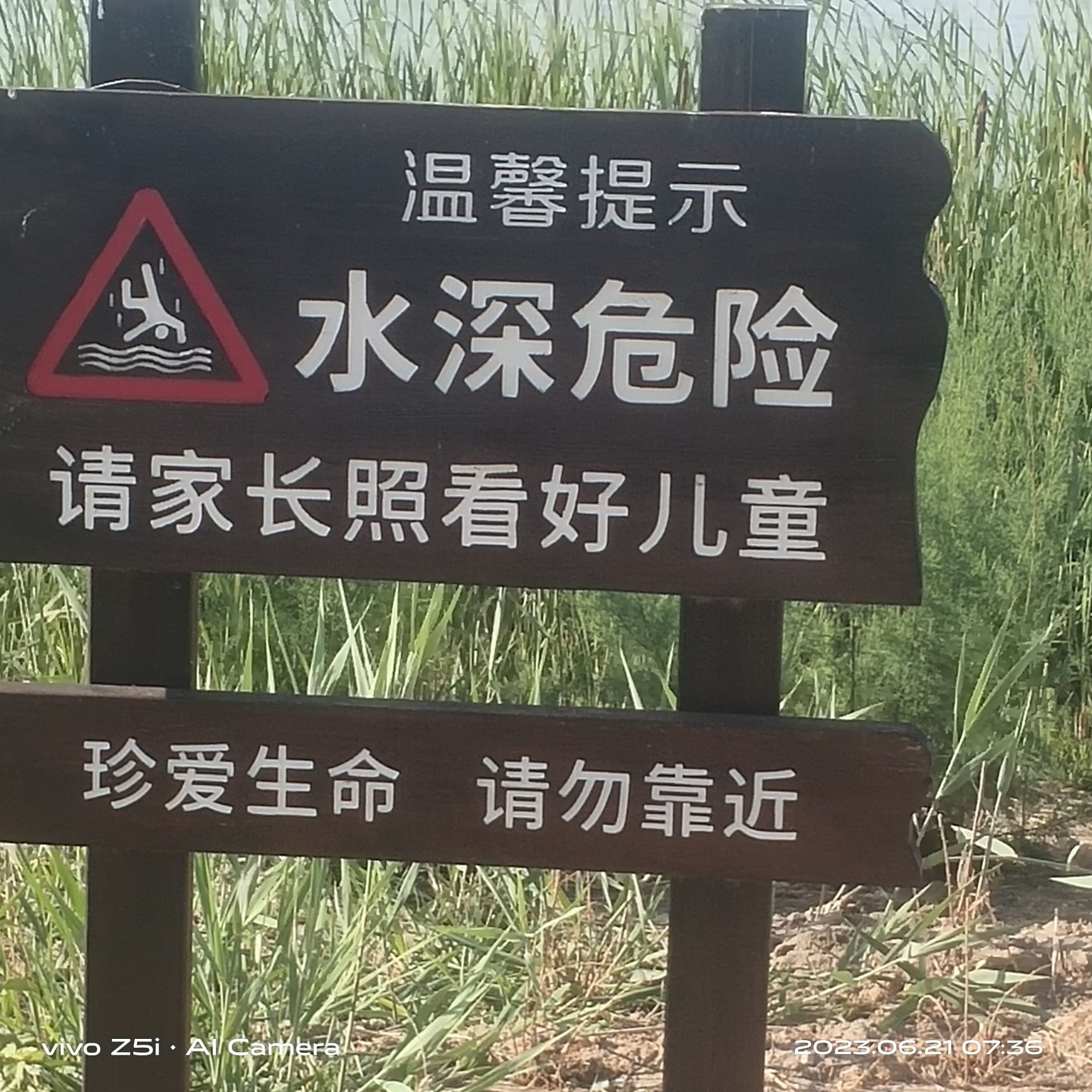 西青区王稳庄镇生态绿廊瞭望塔旅行图片 1