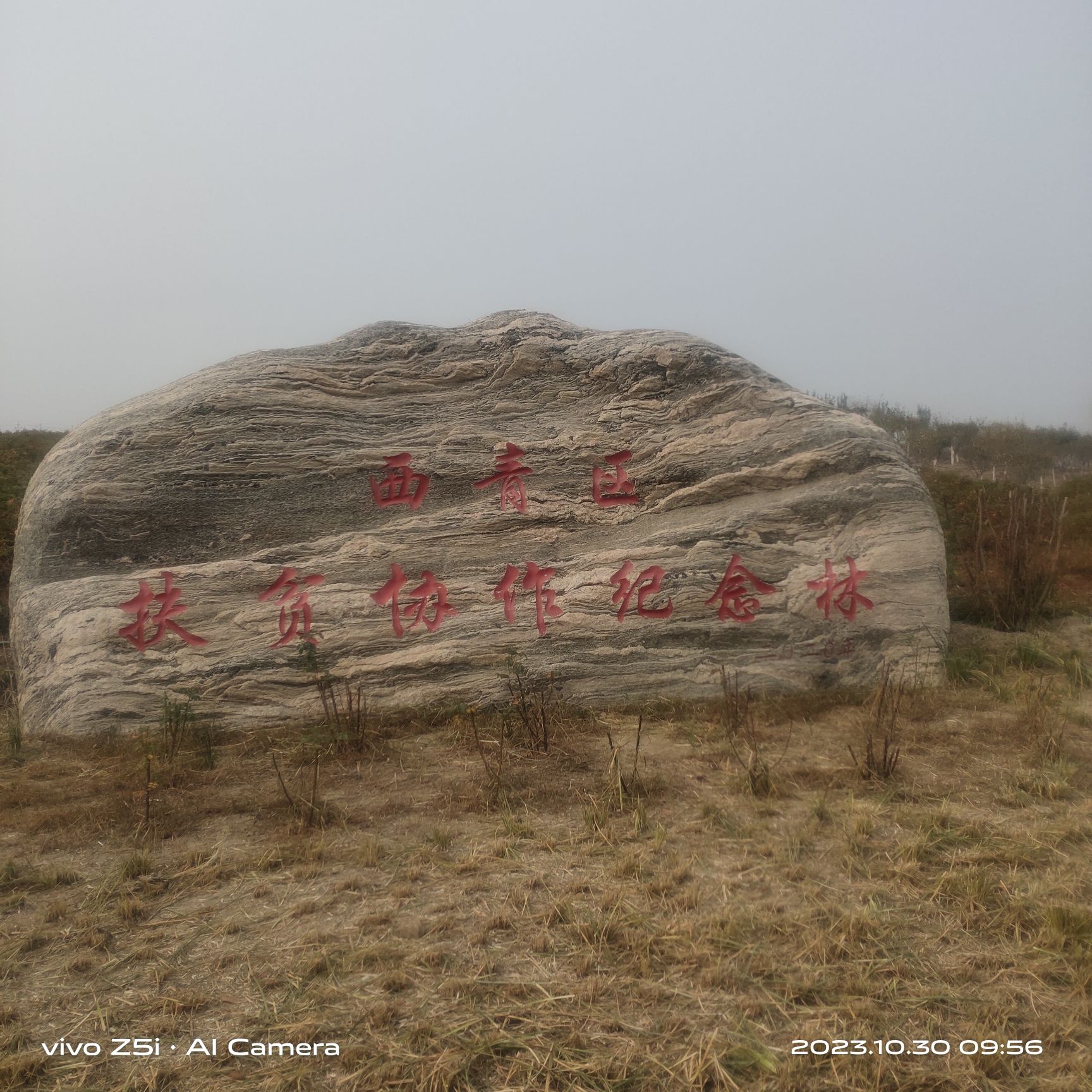 西青区王稳庄镇生态绿廊瞭望塔旅行图片 2