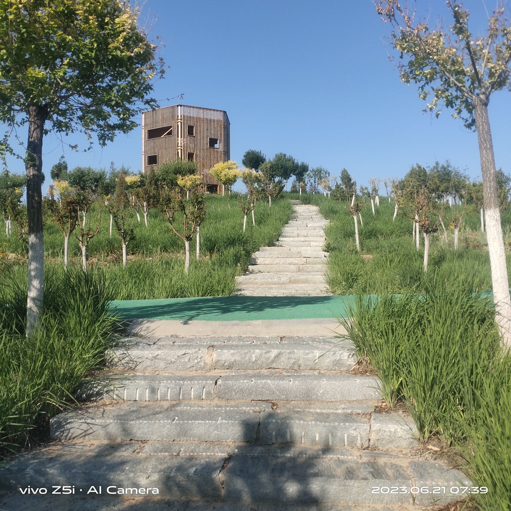 西青区王稳庄镇生态绿廊瞭望塔旅行图片 3