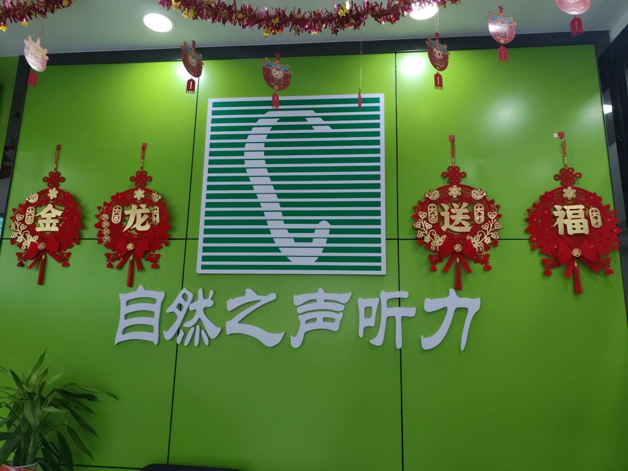 自然之声助听器·呼吸机(台山店)