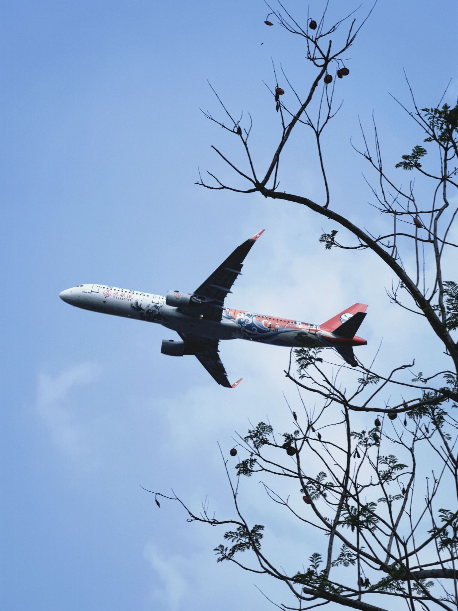 空港体育公园旅行图片 3
