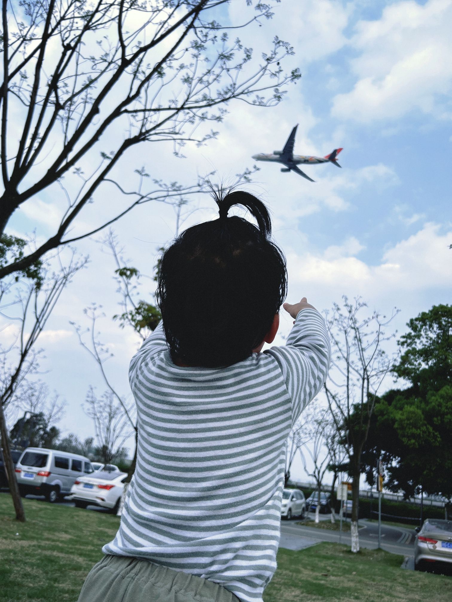 空港体育公园旅行图片 1