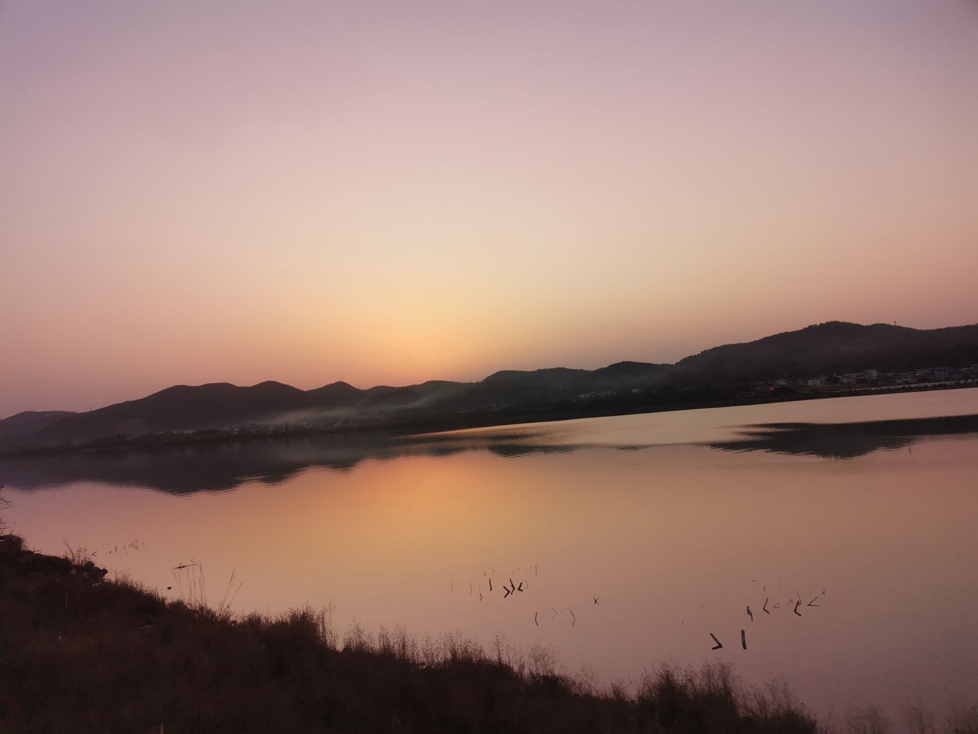 艺术花海景区旅行图片 1