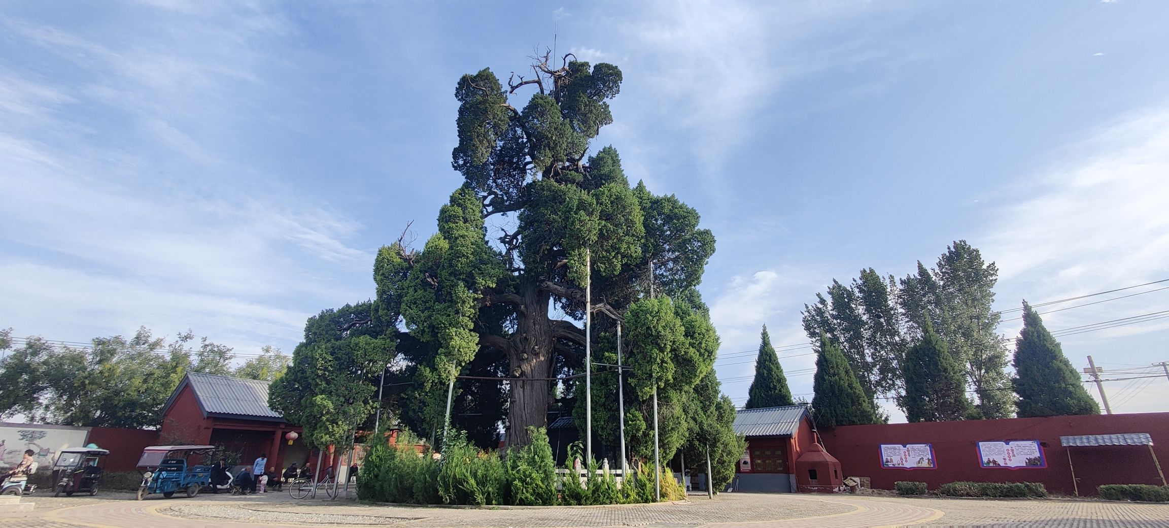 古柏苑旅行图片 1