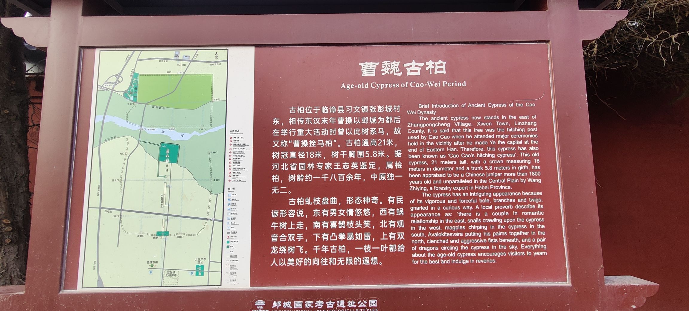 古柏苑旅行图片 2