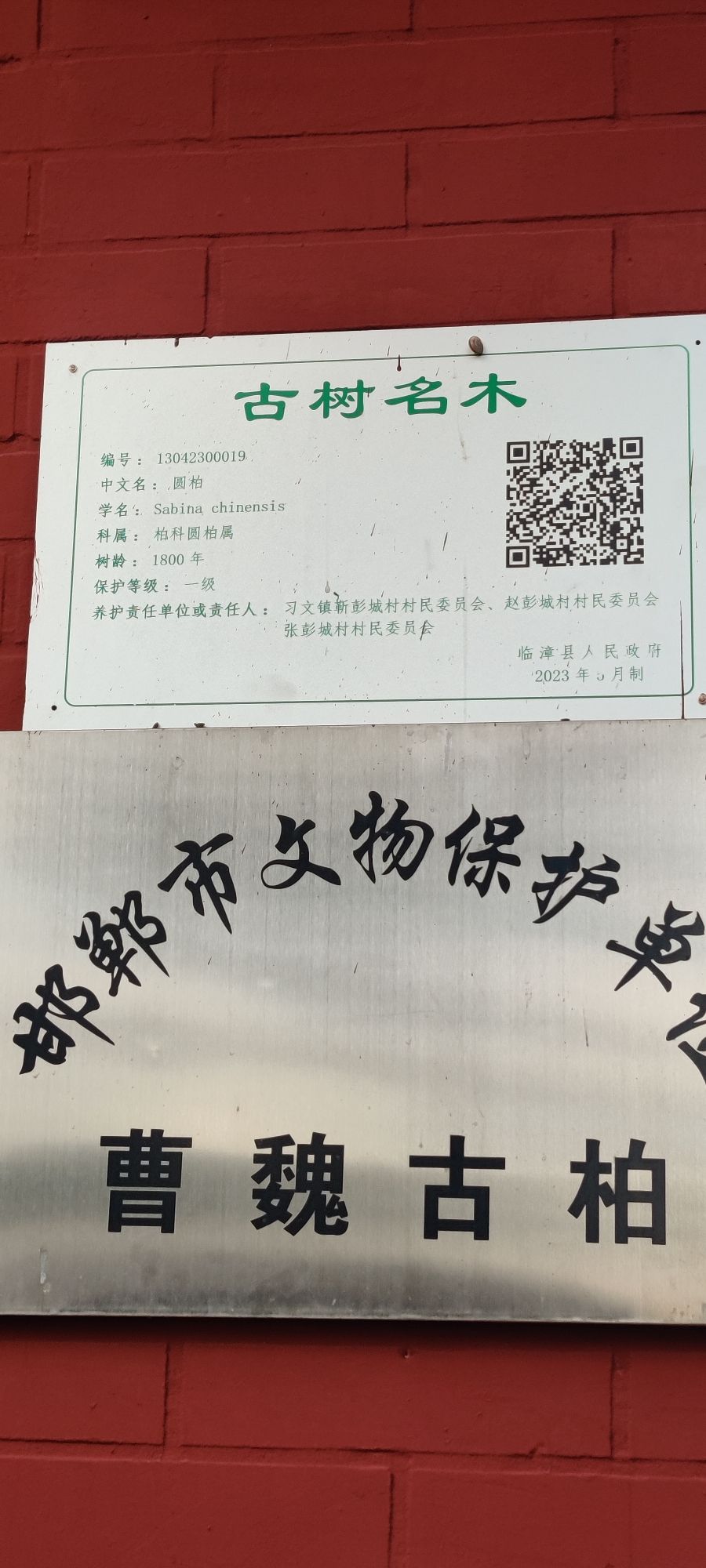 古柏苑旅行图片 3