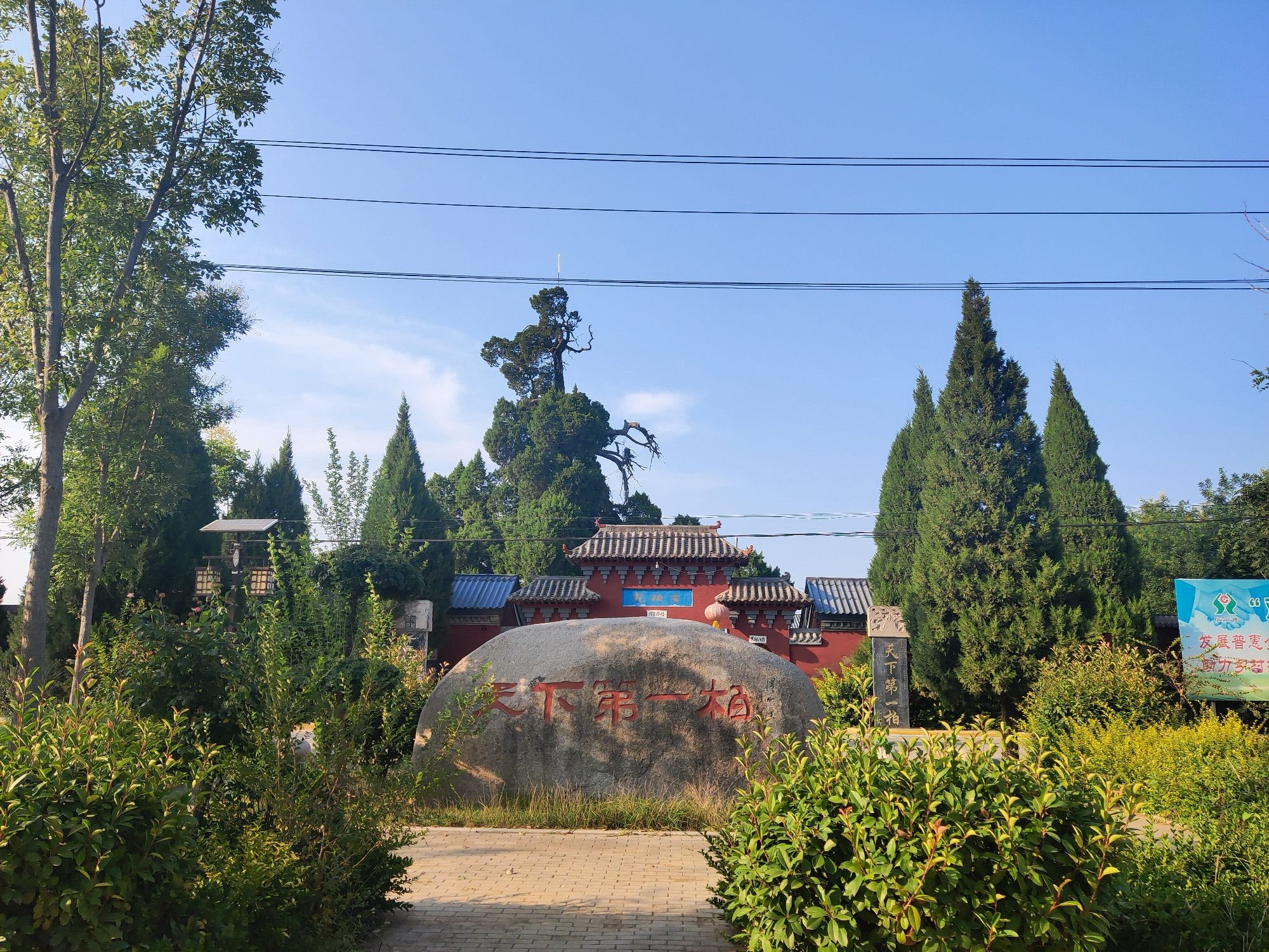 古柏苑旅行图片 1