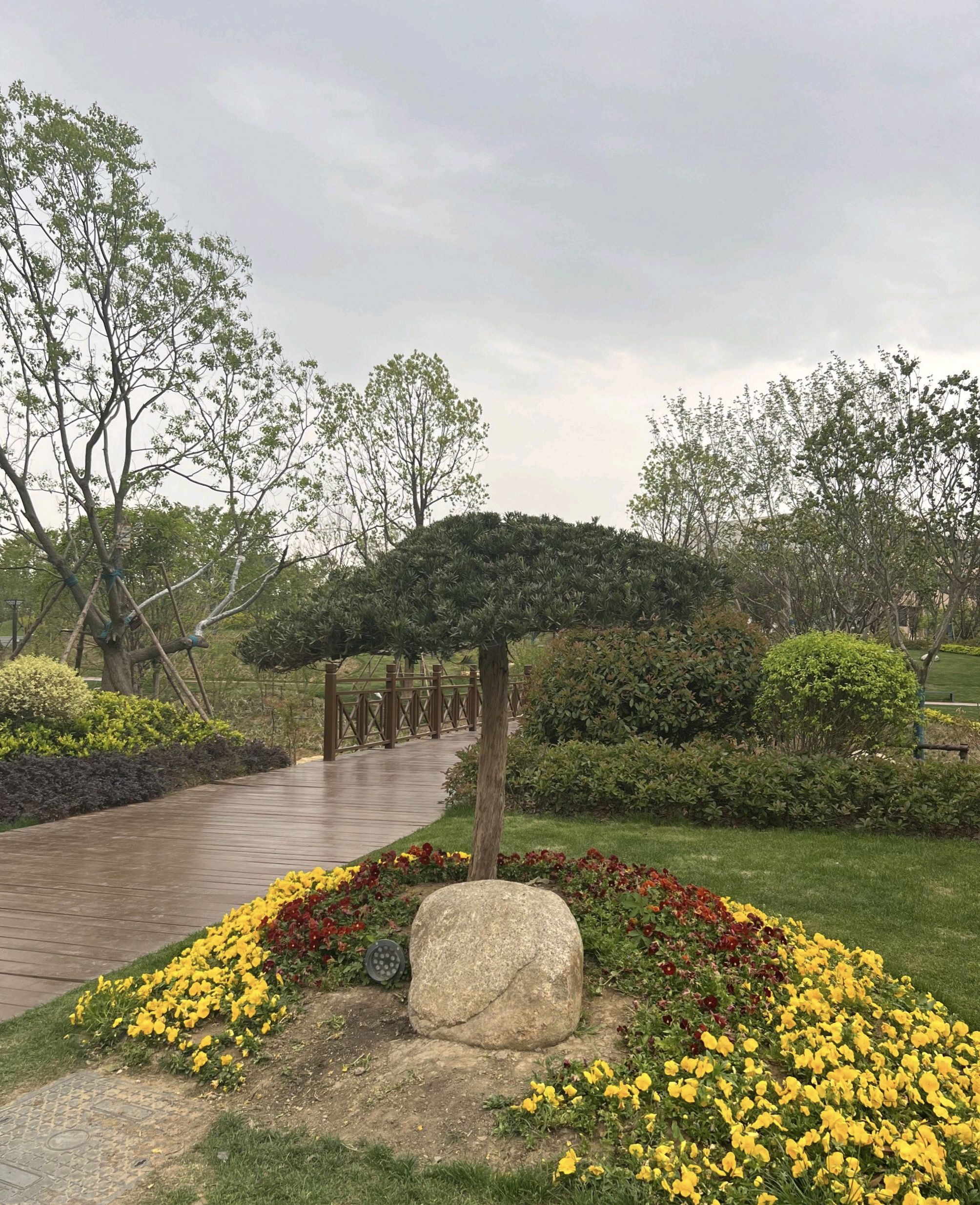 E水系带状公园旅行图片 3