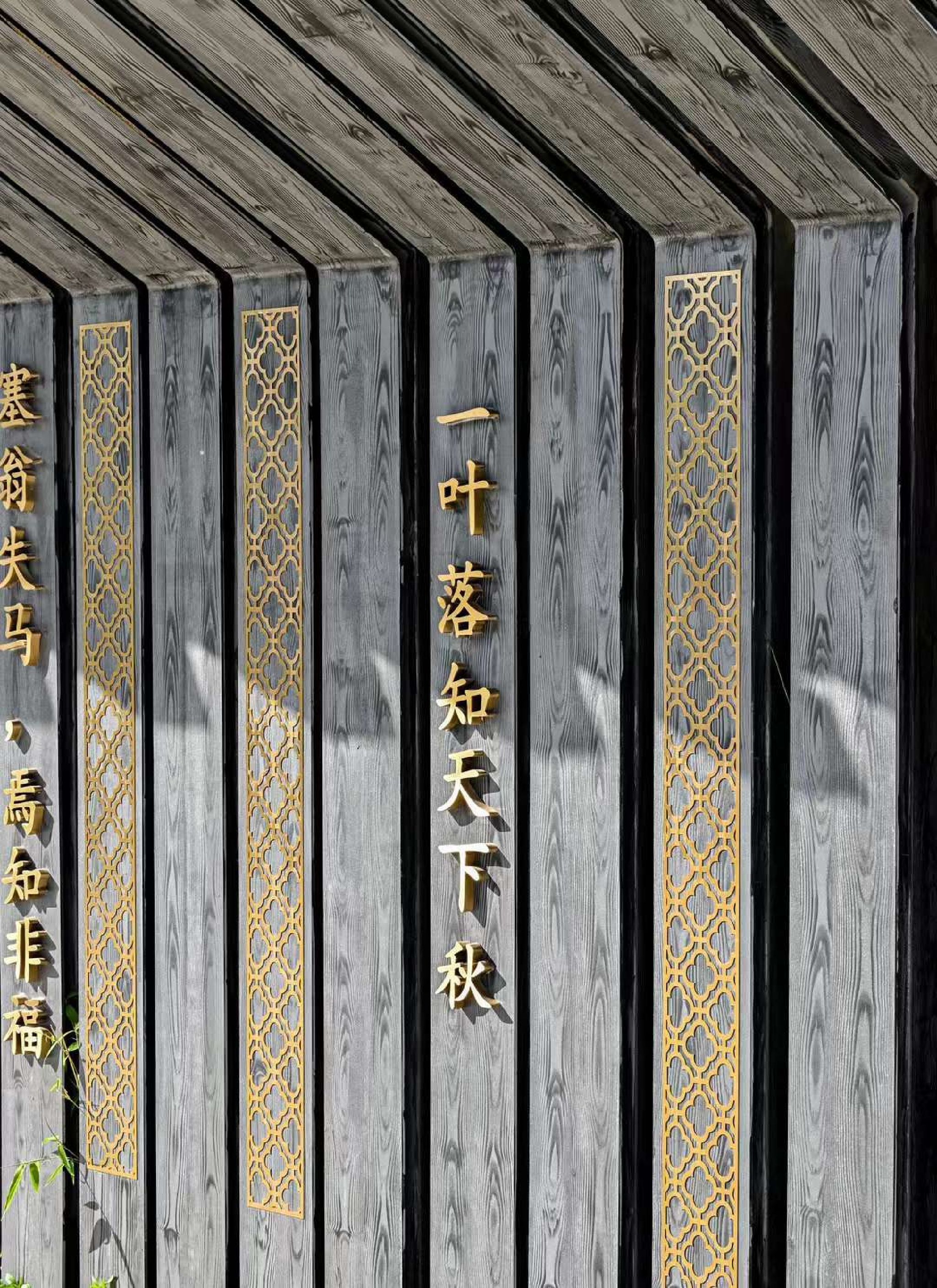 E水系带状公园旅行图片 1
