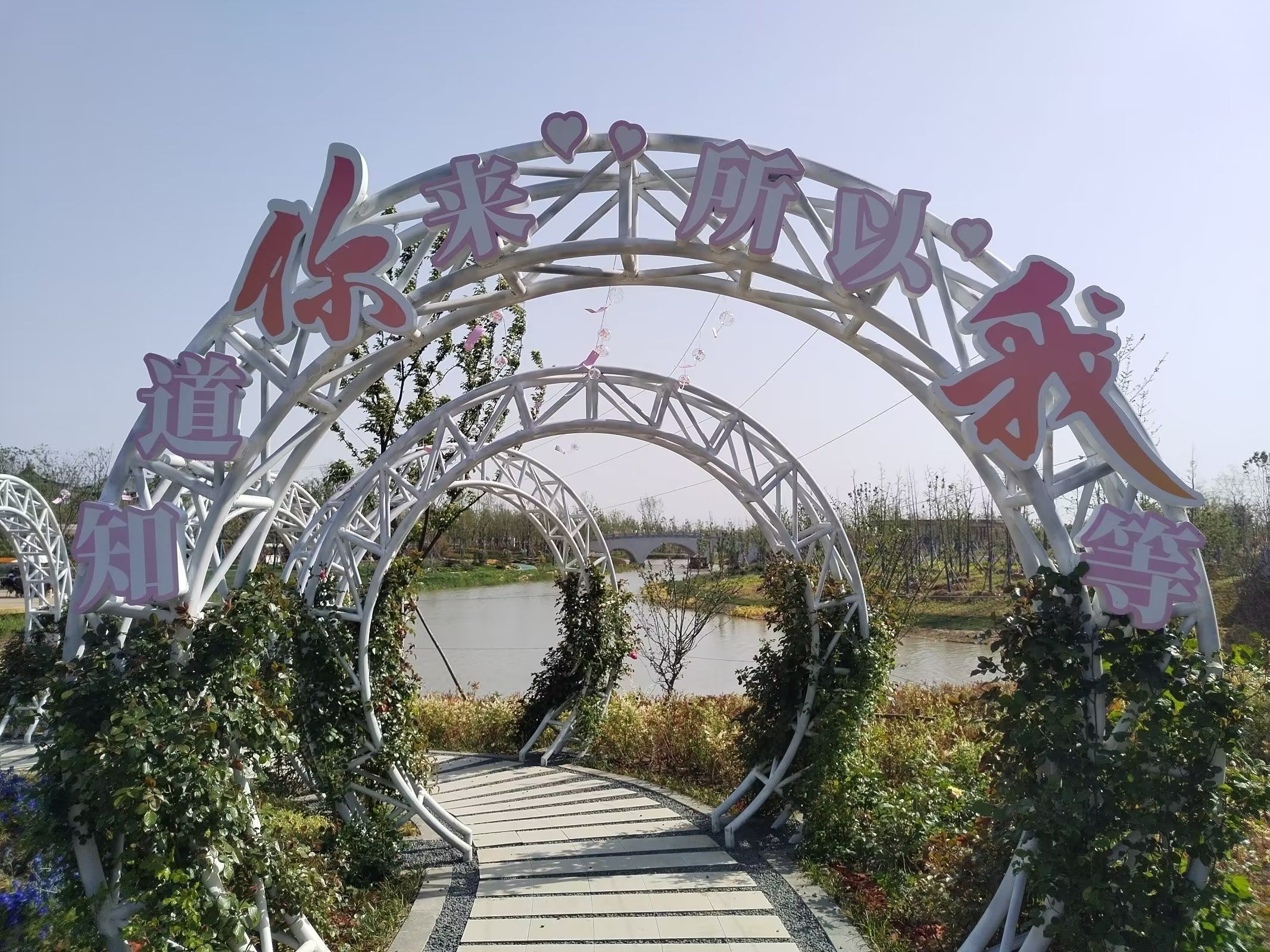 连云港园博园旅行图片 2