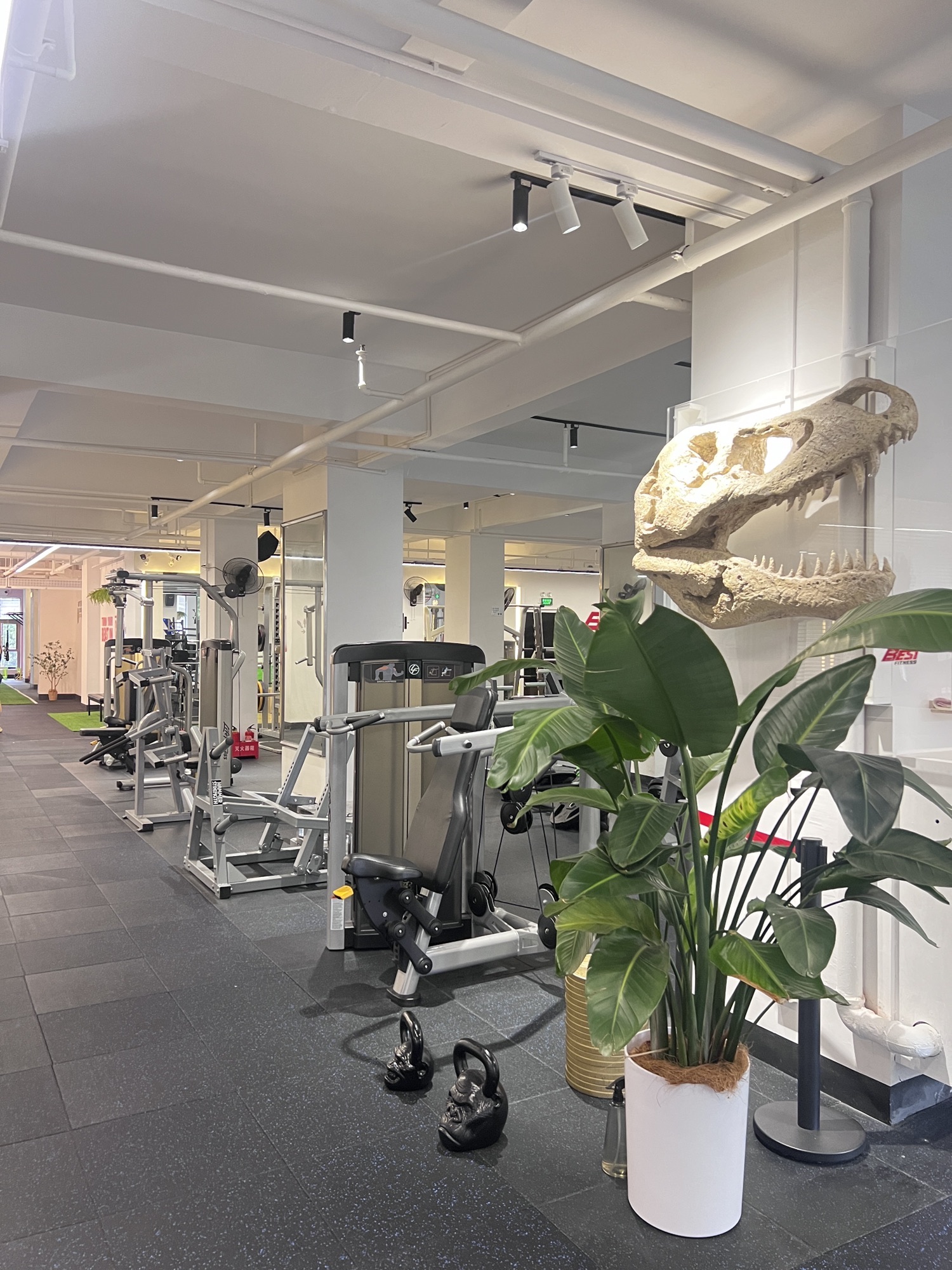 BEST FITNESS·最好健身(榕树店)
