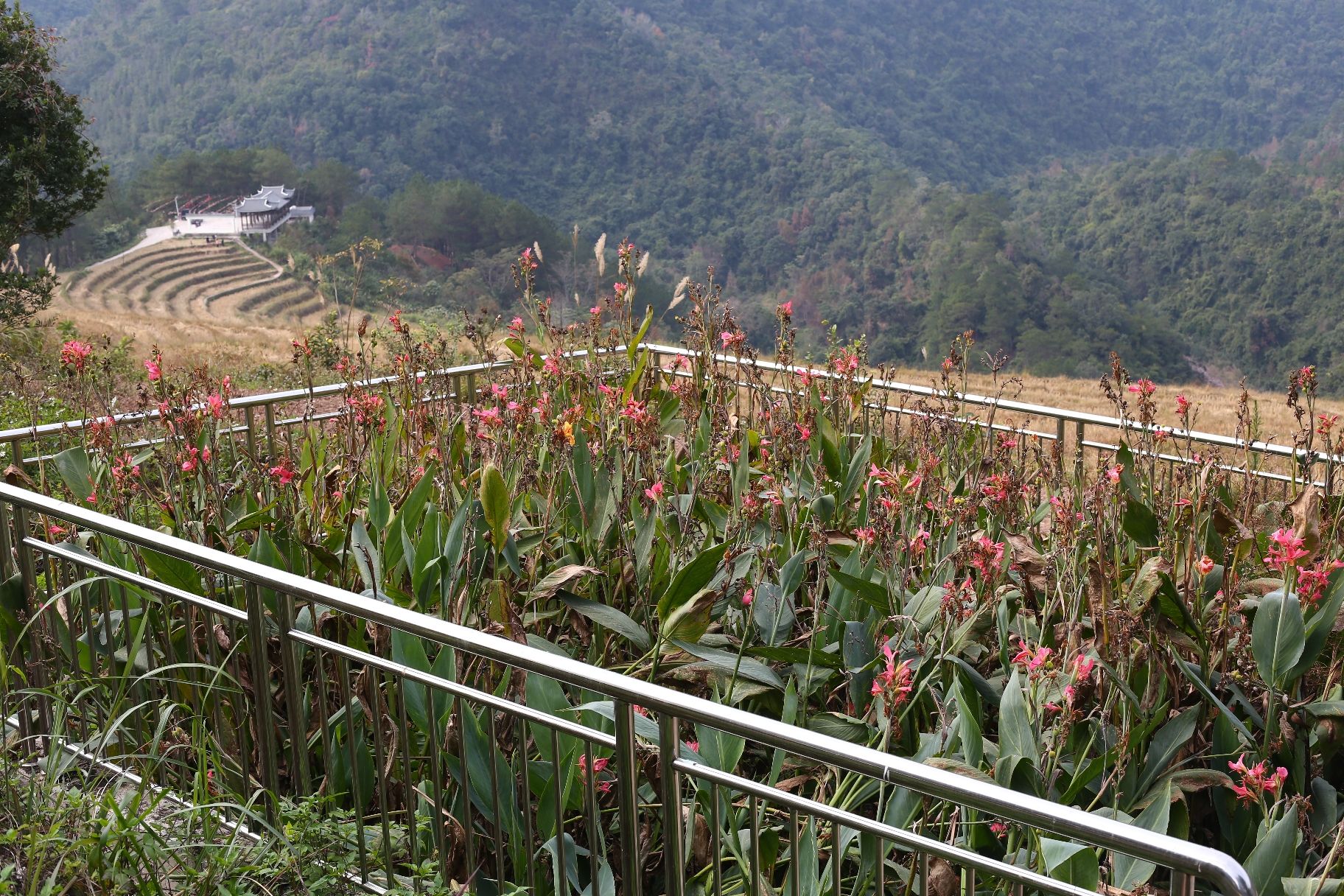 百马梯田景区旅行图片 1