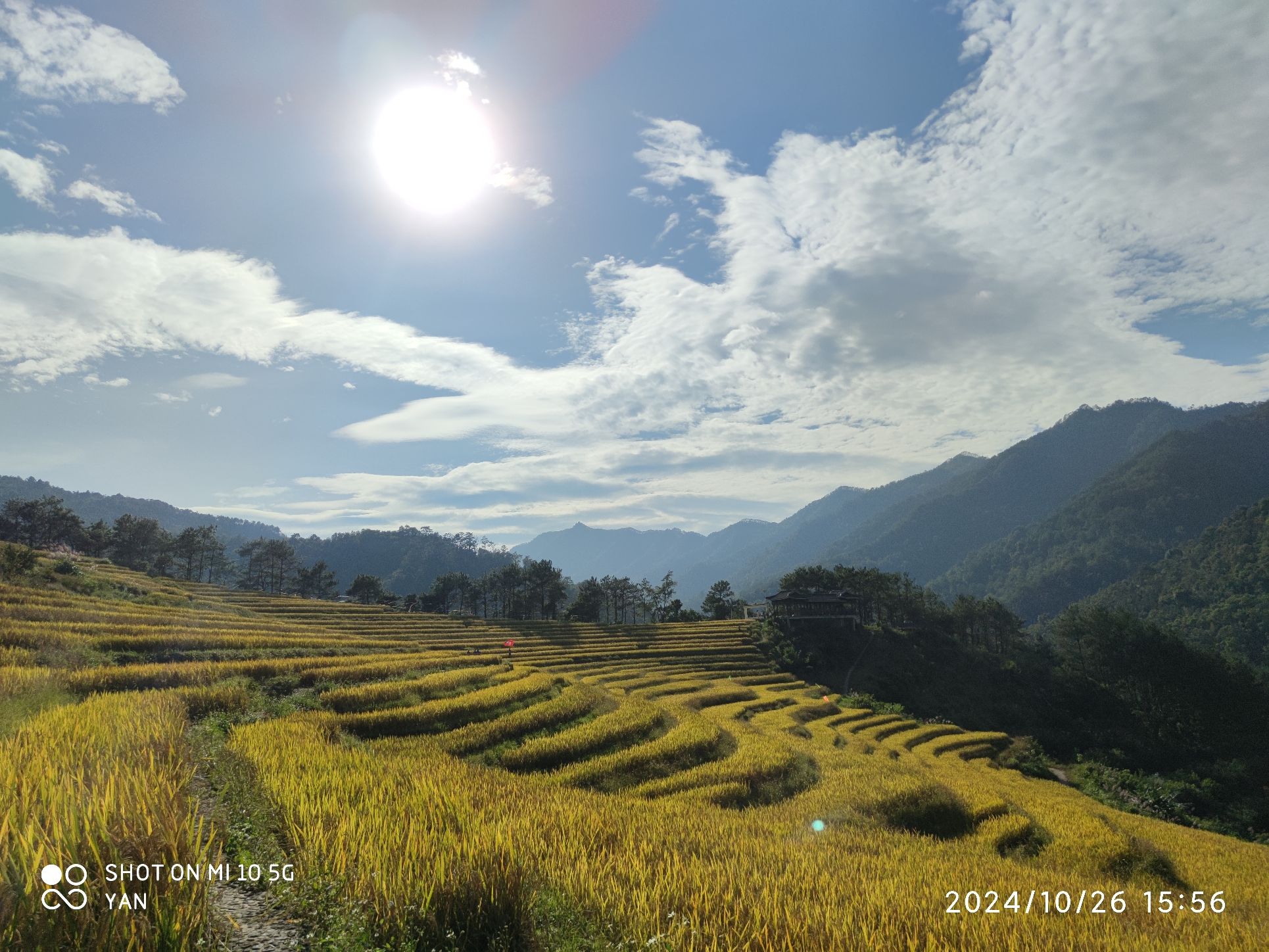 百马梯田景区旅行图片 3