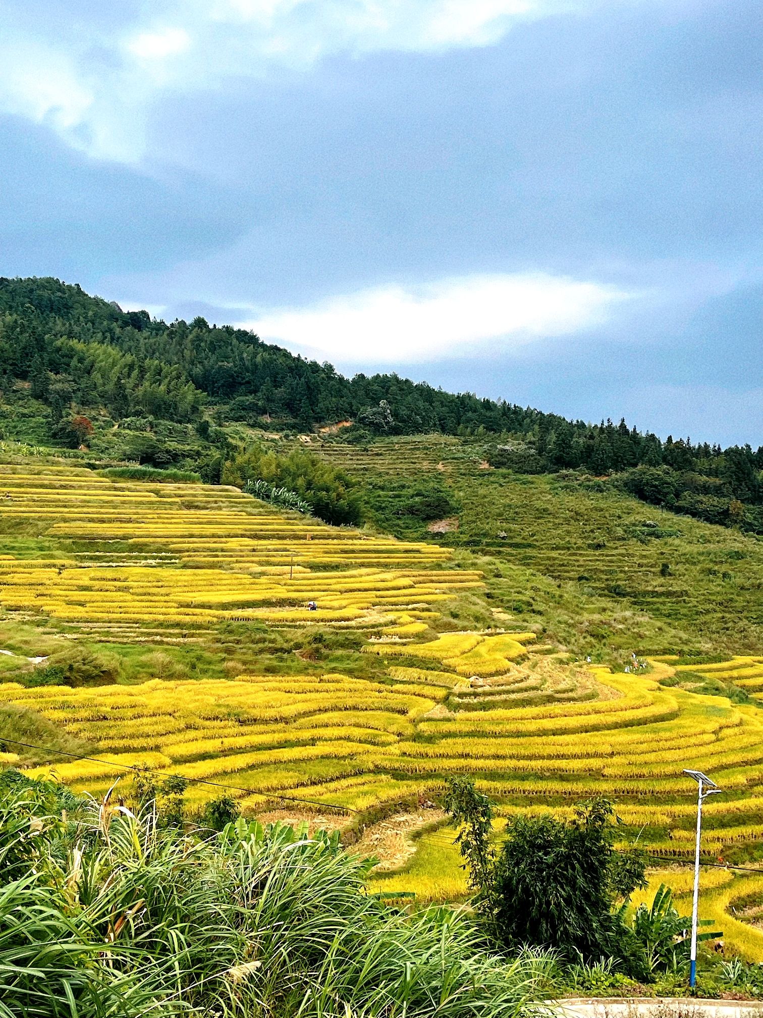 百马梯田景区旅行图片 1