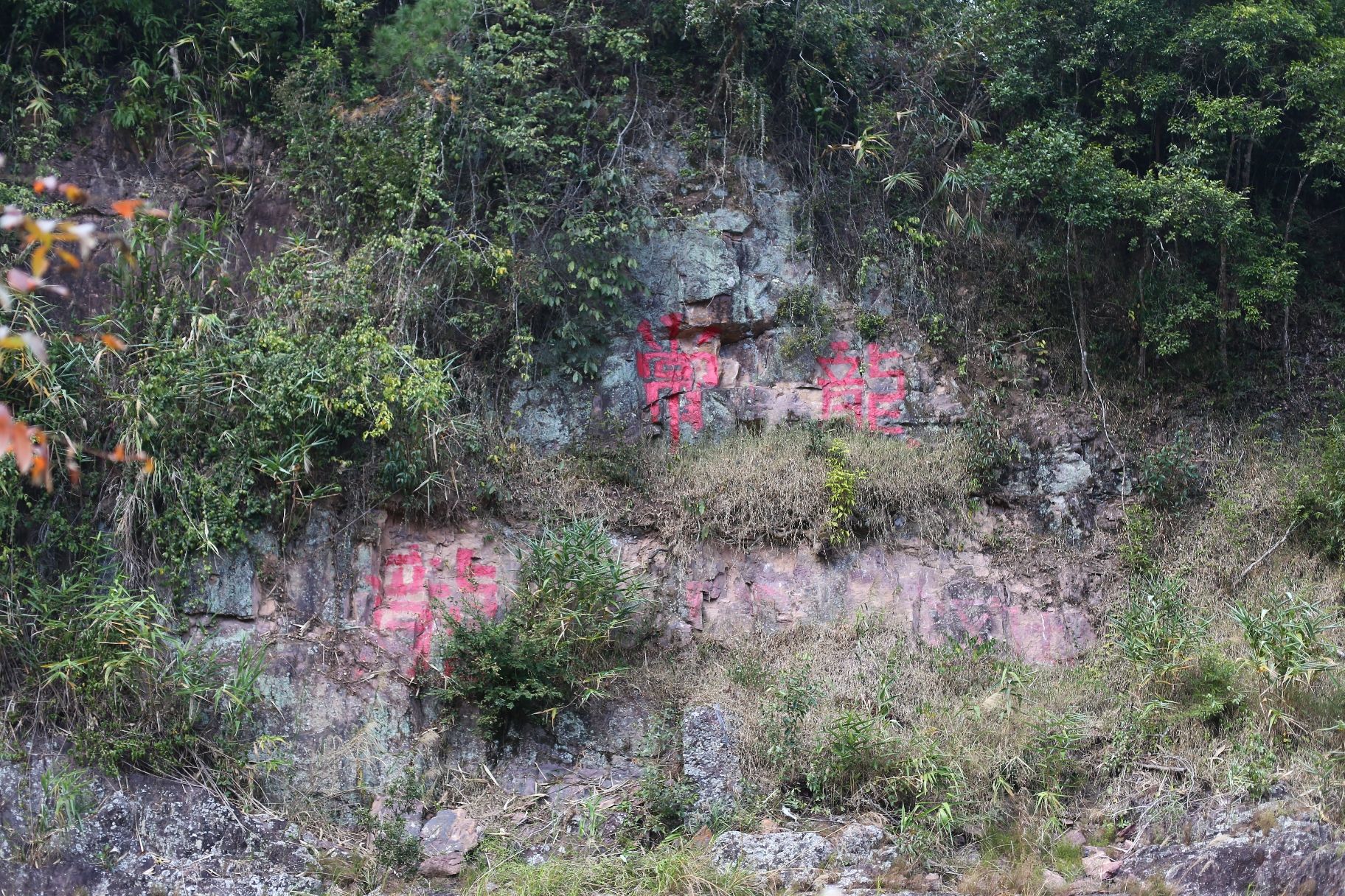 百马梯田景区旅行图片 3