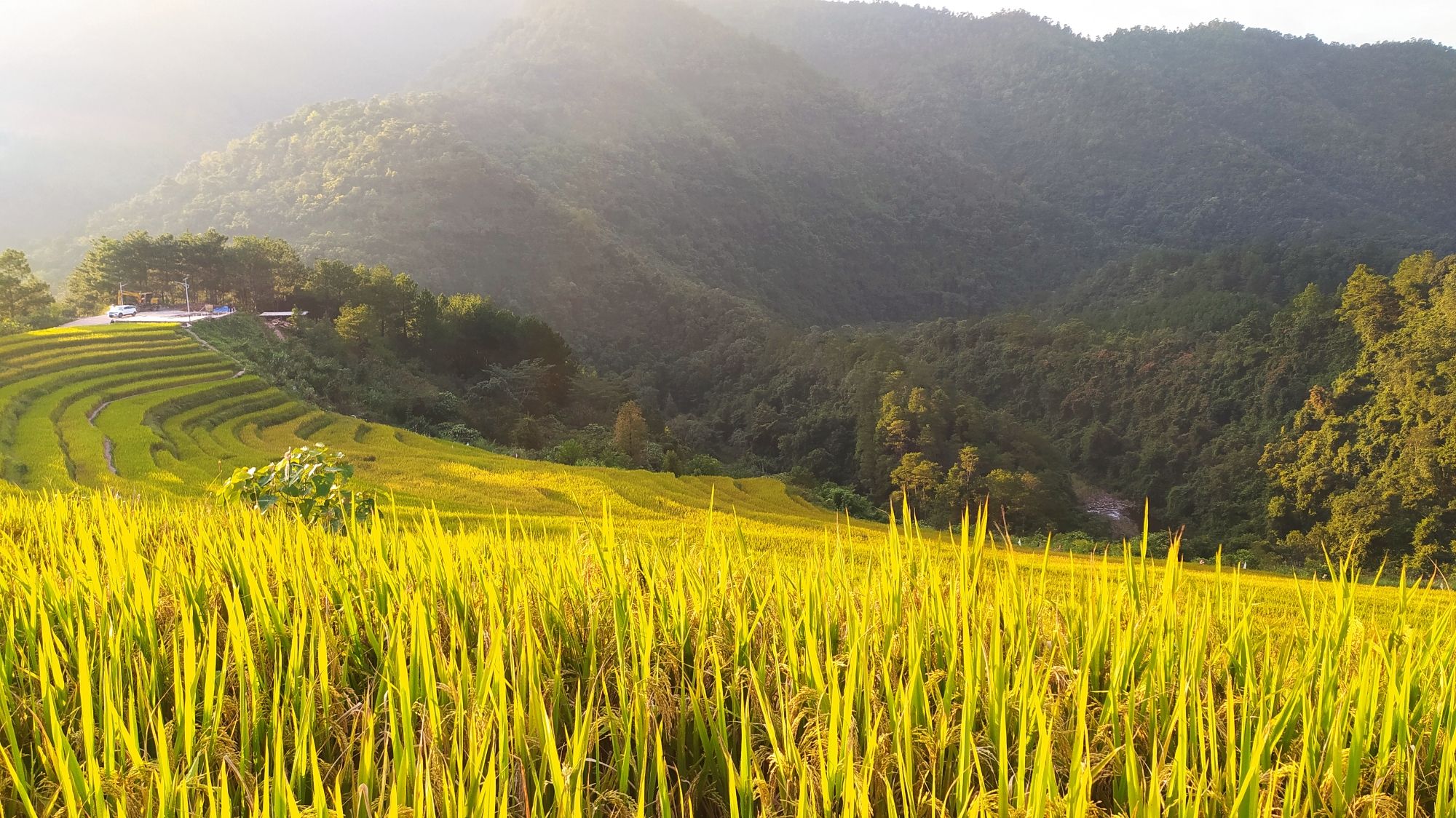 百马梯田景区旅行图片 1