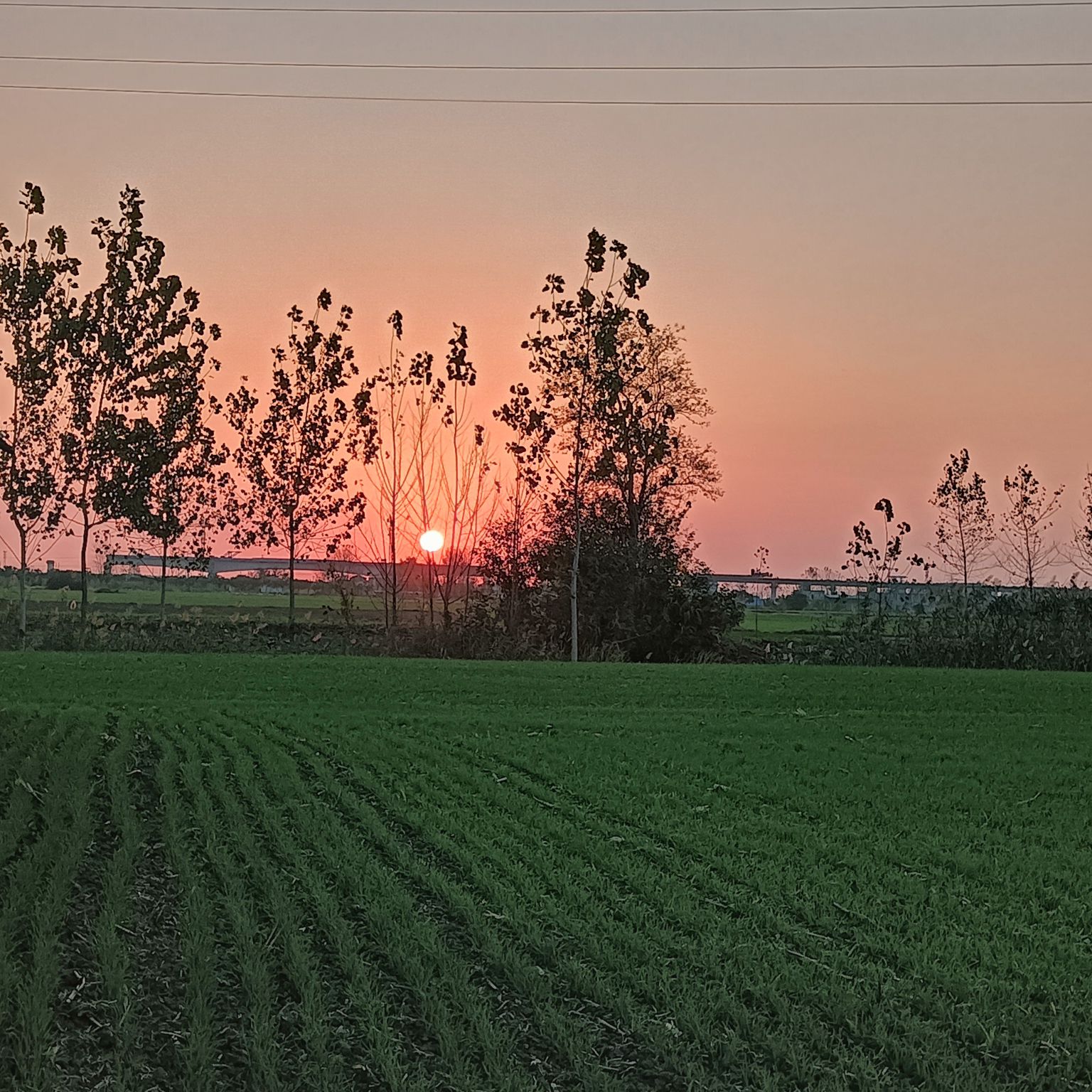 濉溪县五铺农场
