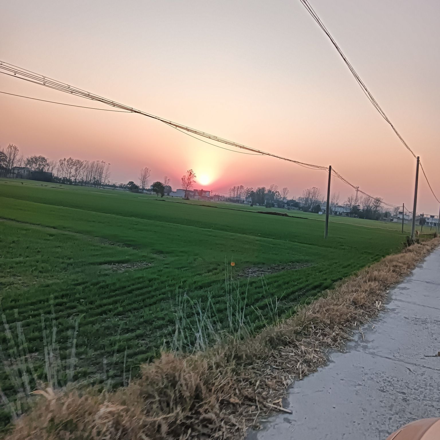 濉溪县五铺农场