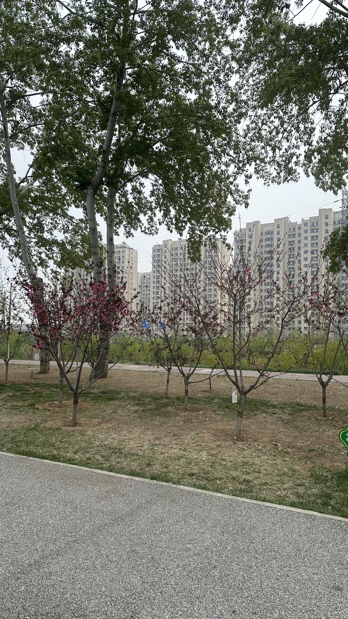 永引体育公园旅行图片 2