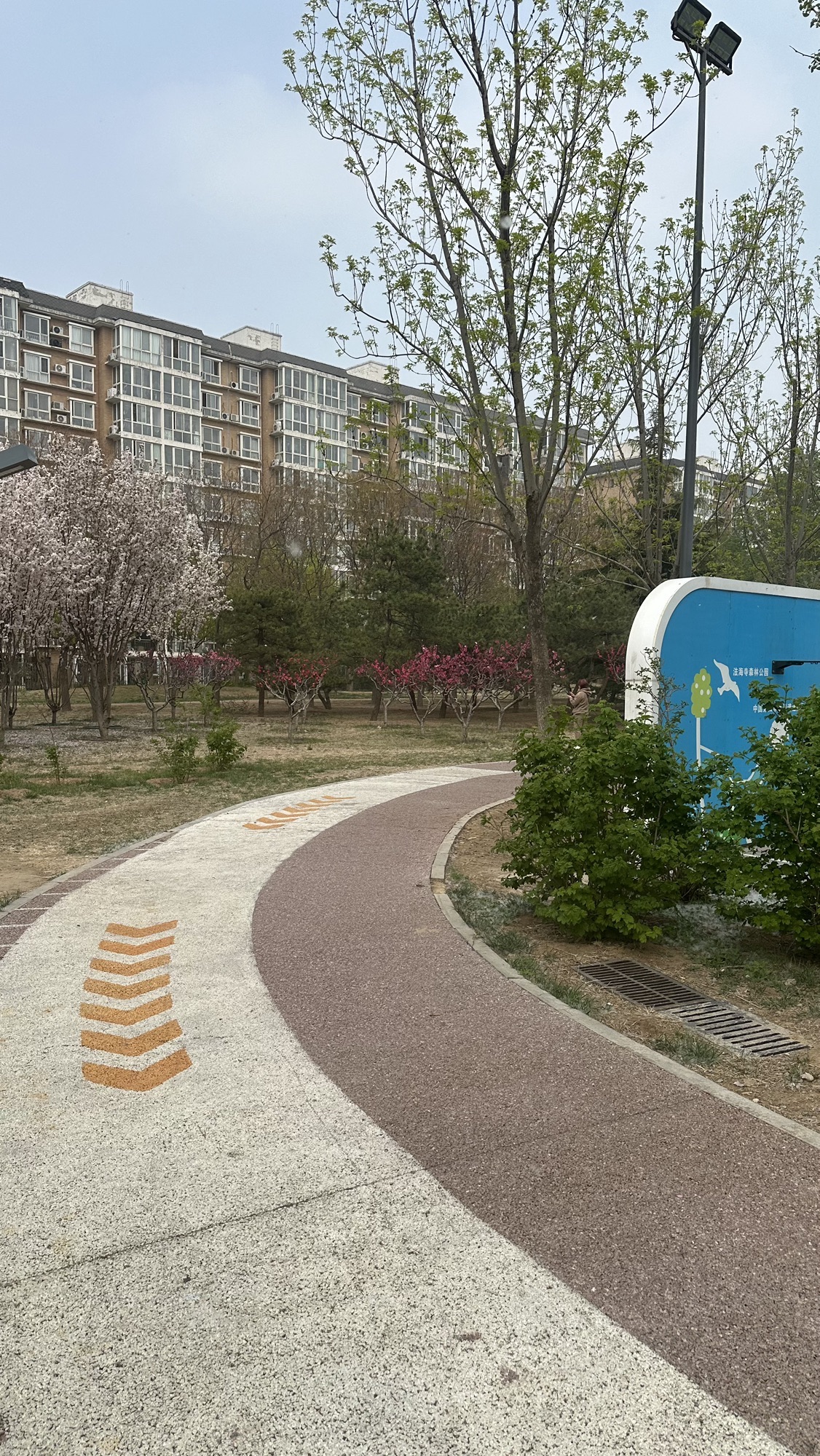 永引体育公园旅行图片 3