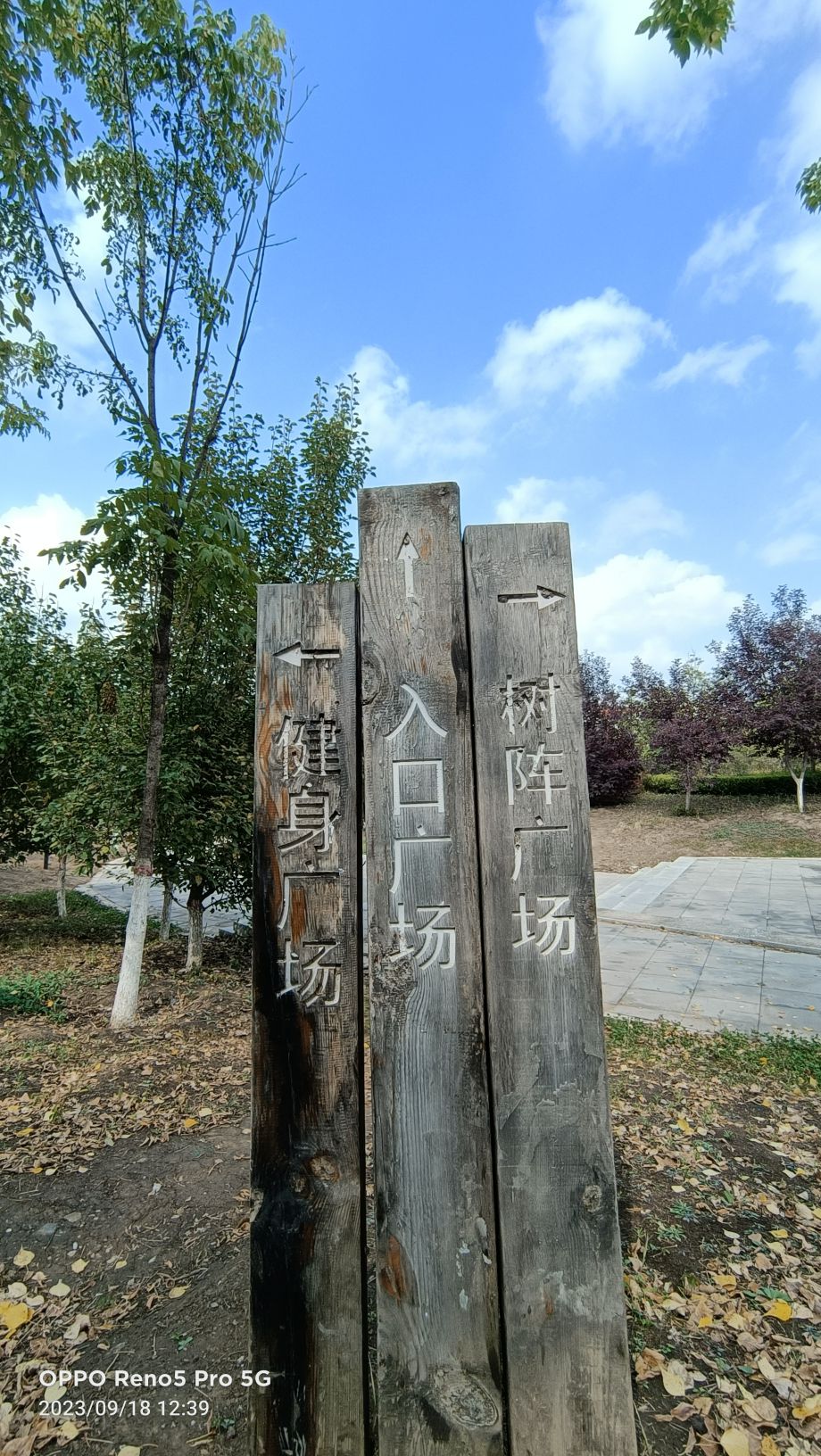 慧泽公园