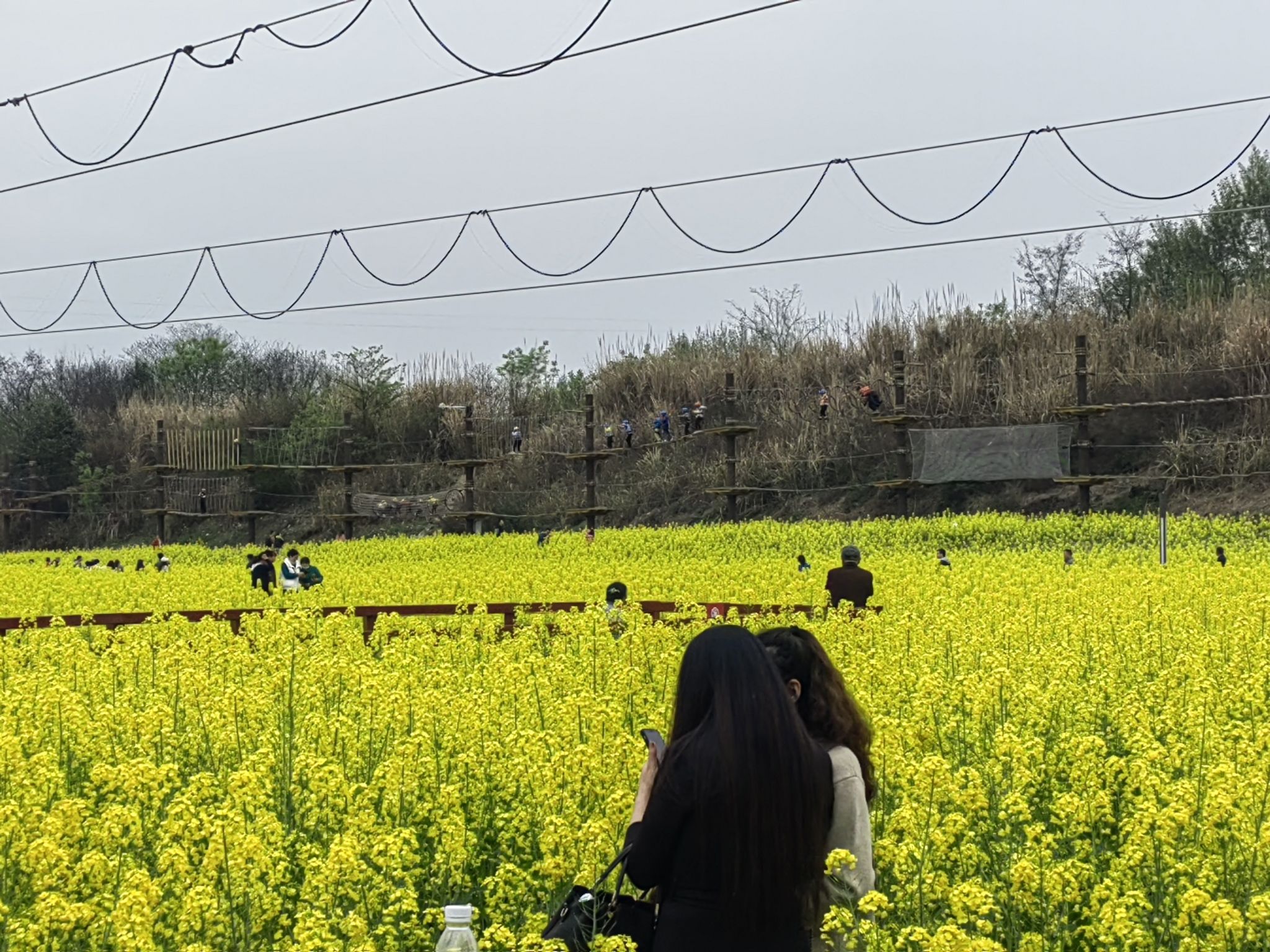 元耕纪元桃花谷旅行图片 2