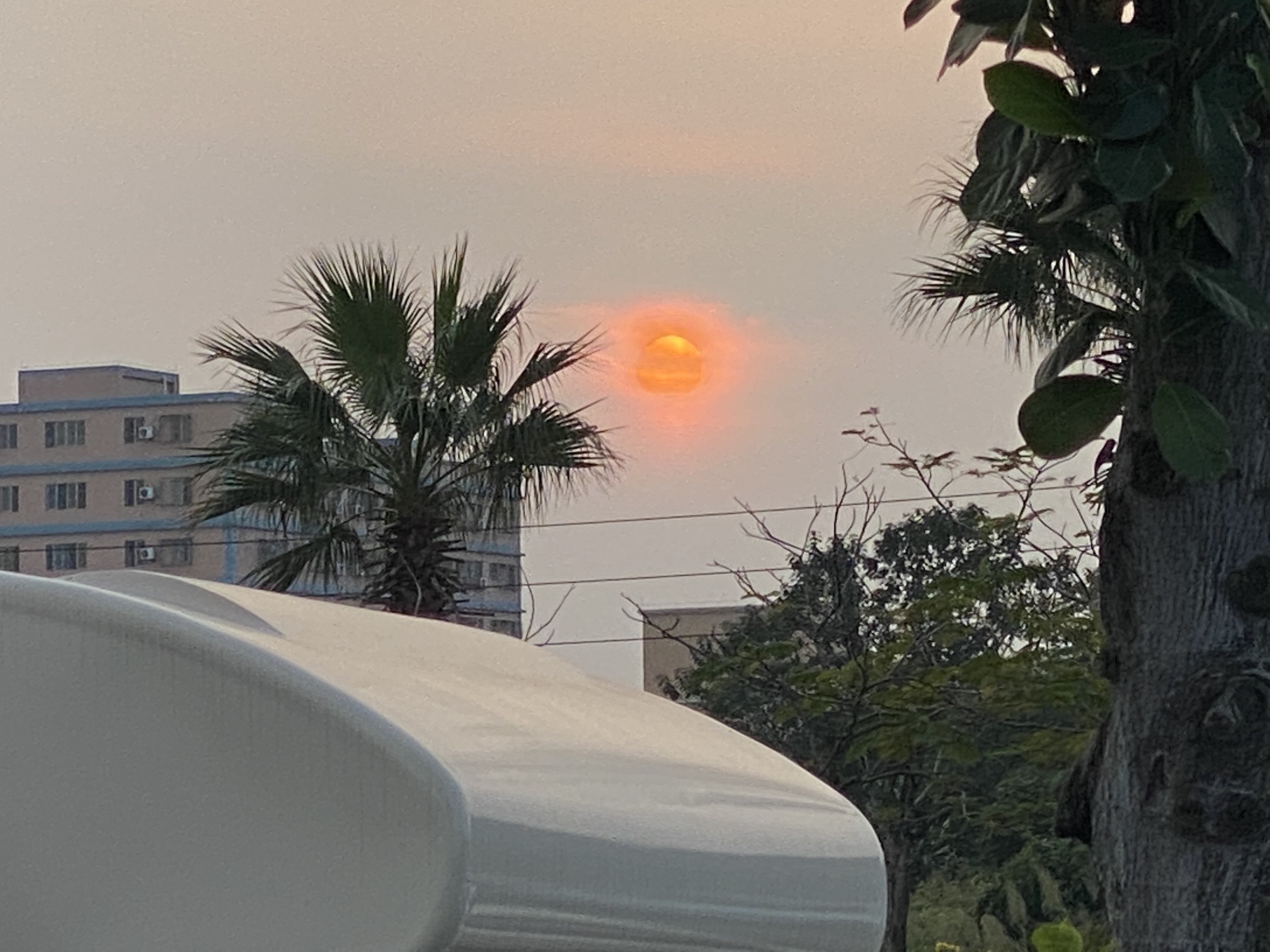 蓬江碧道运动公园旅行图片 3