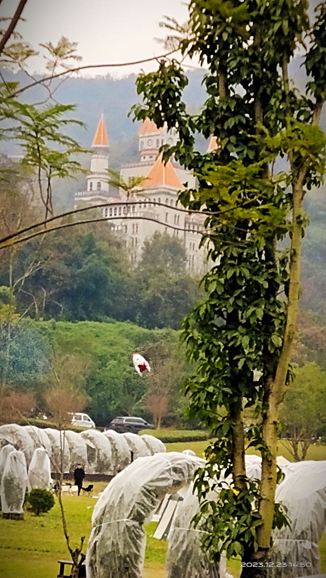 矿坑花园旅行图片 1