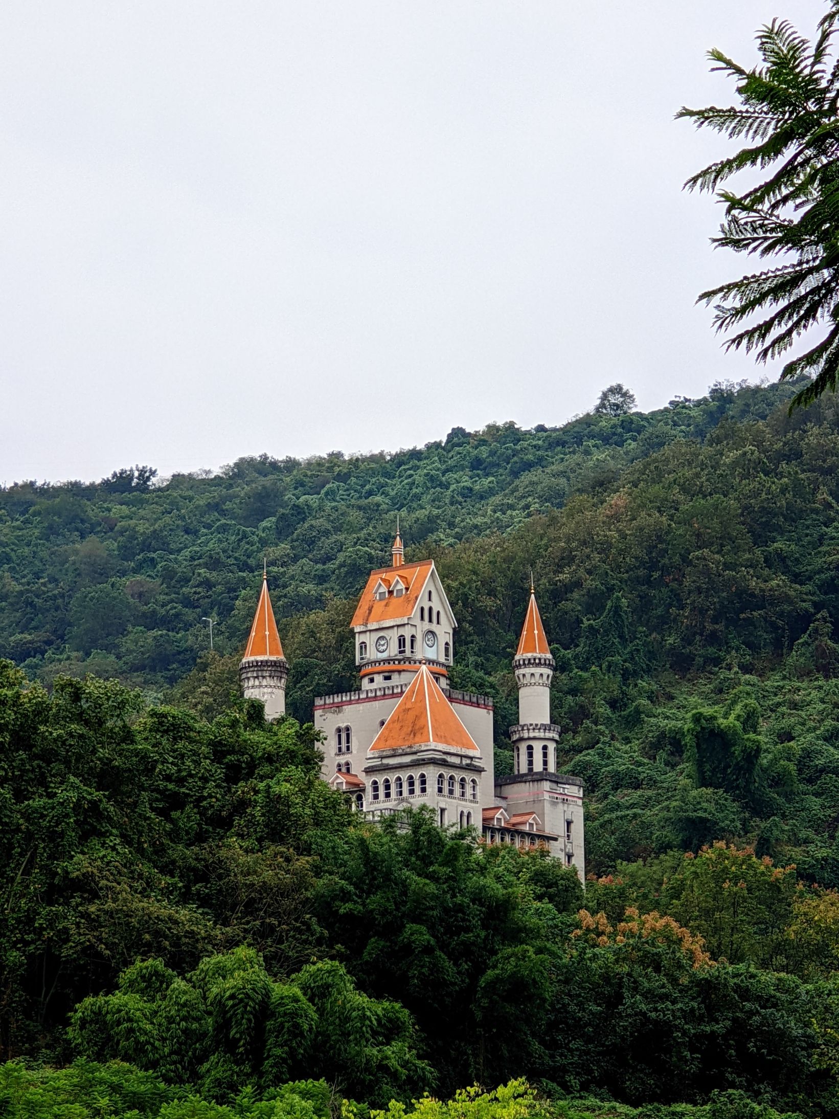 矿坑花园旅行图片 1