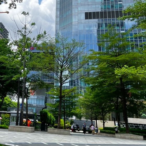 初心公园旅行图片 2