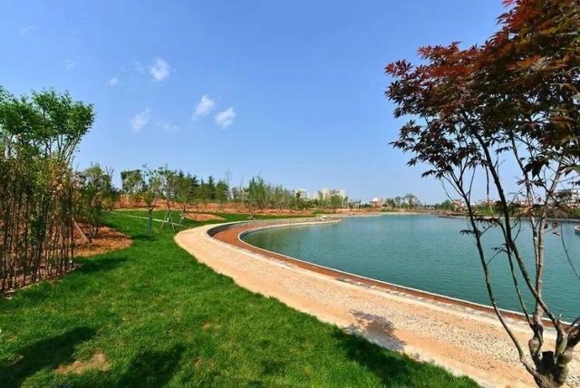 金水河湿地公园旅行图片 3