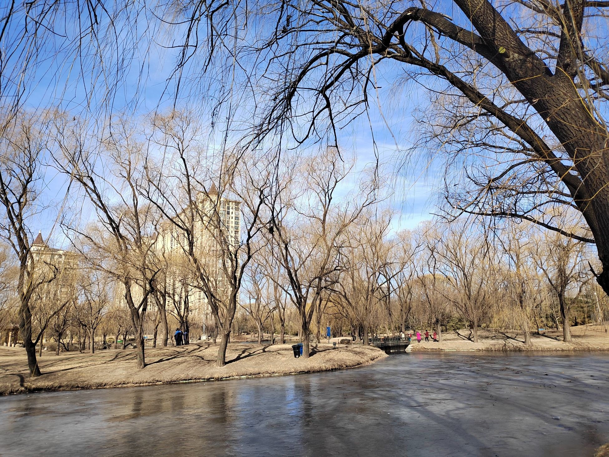 星河湾生态公园旅行图片 3