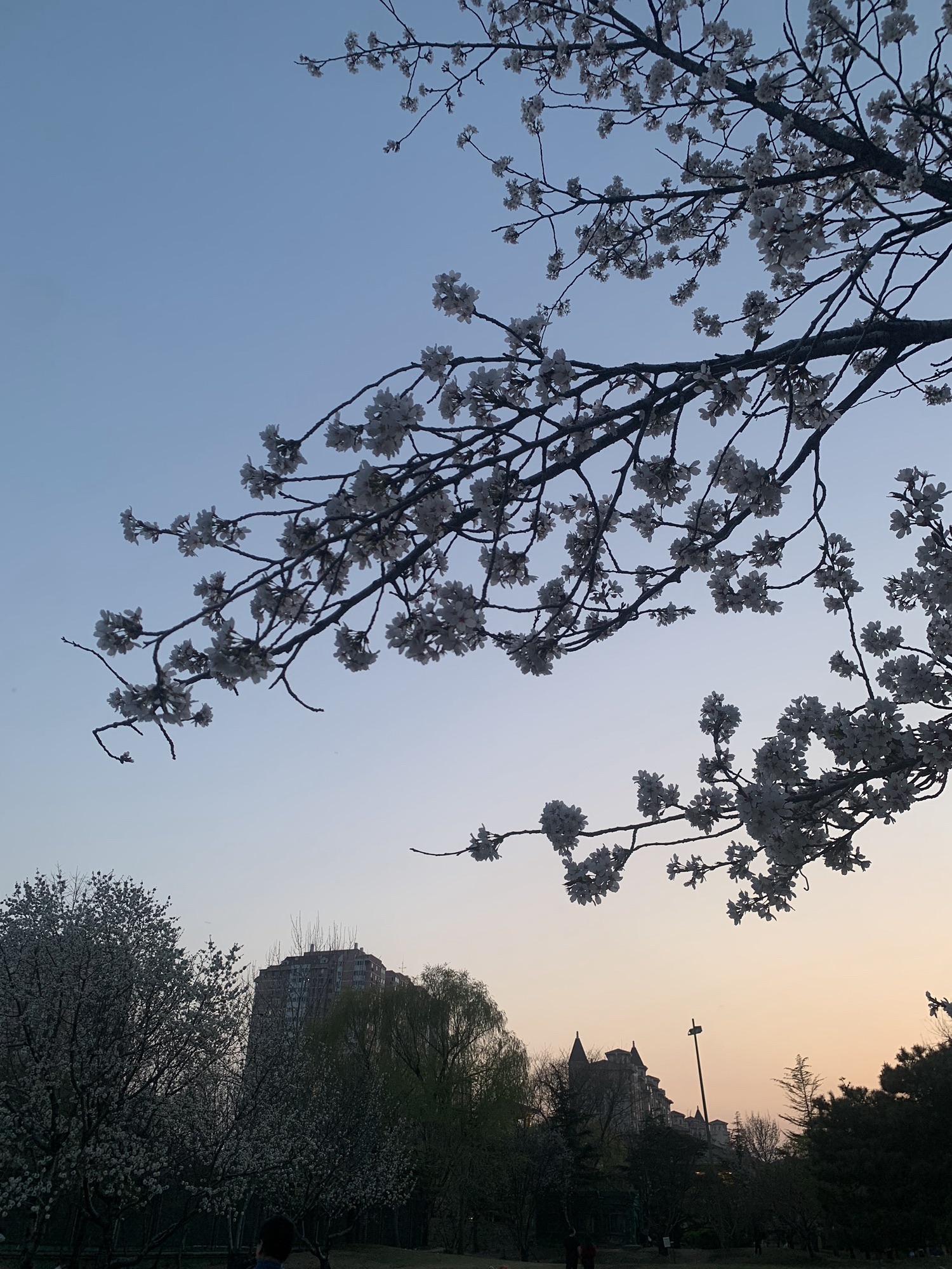 星河湾生态公园旅行图片 1
