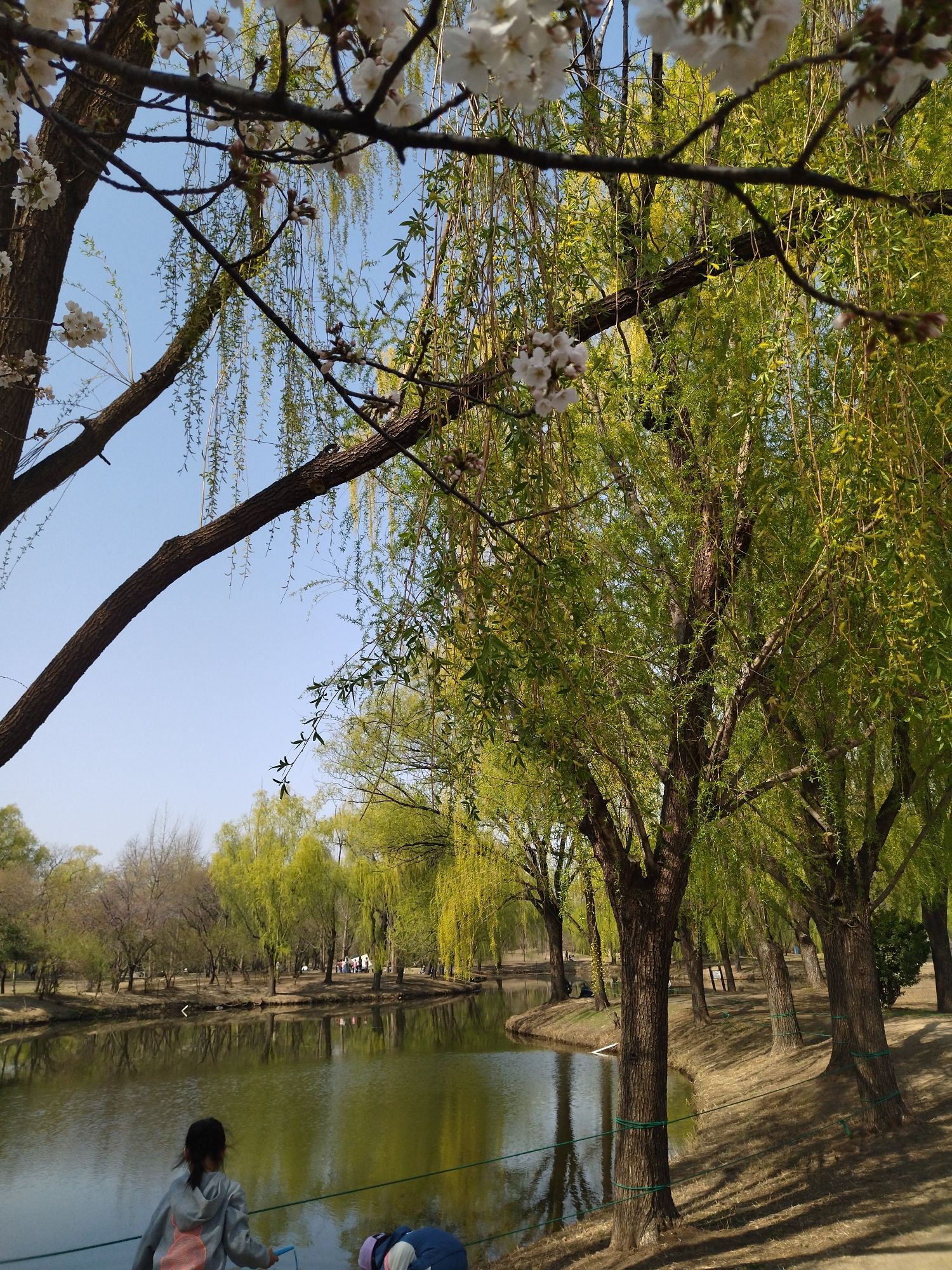星河湾生态公园旅行图片 2