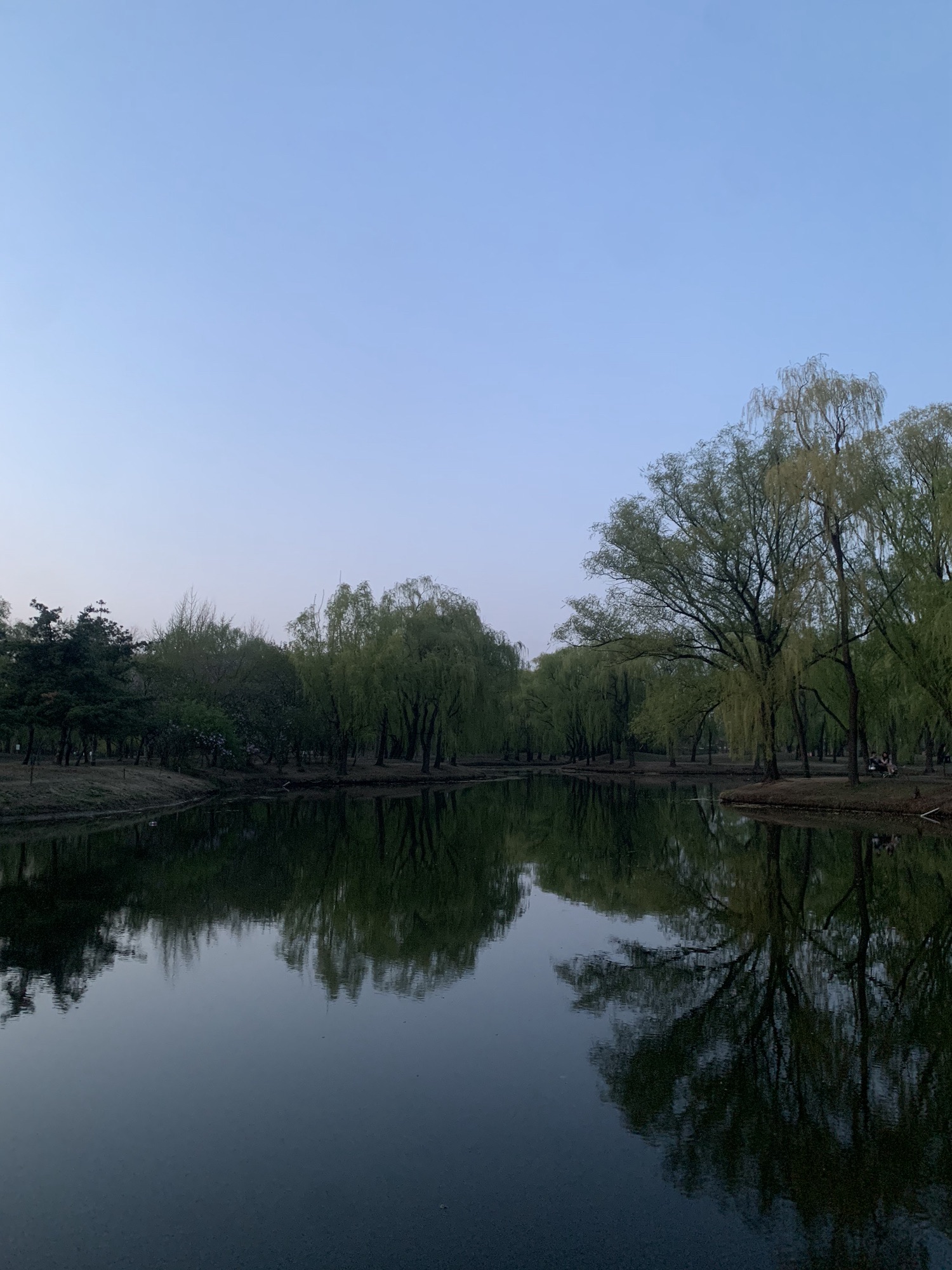 星河湾生态公园旅行图片 3