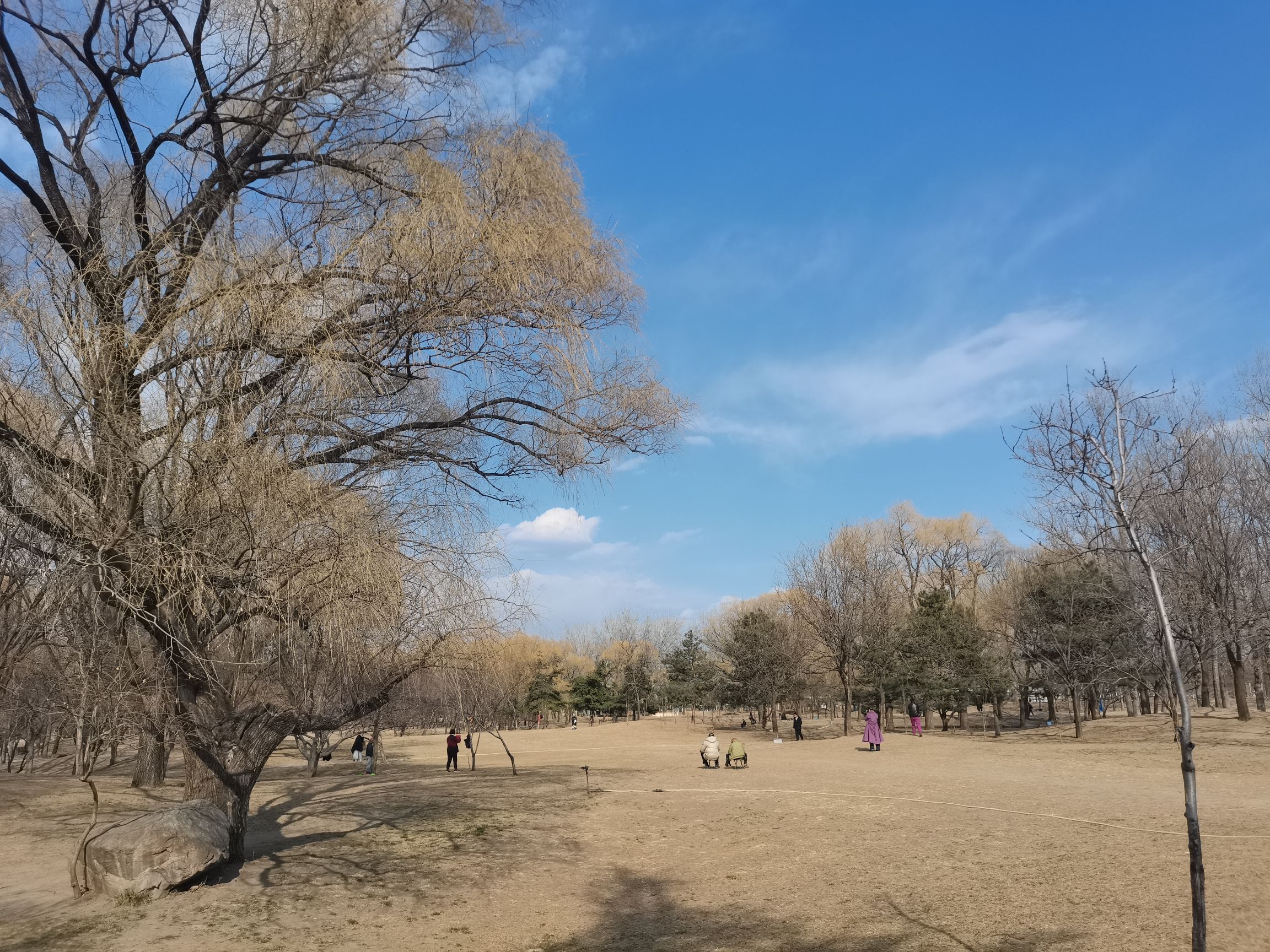 星河湾生态公园旅行图片 3