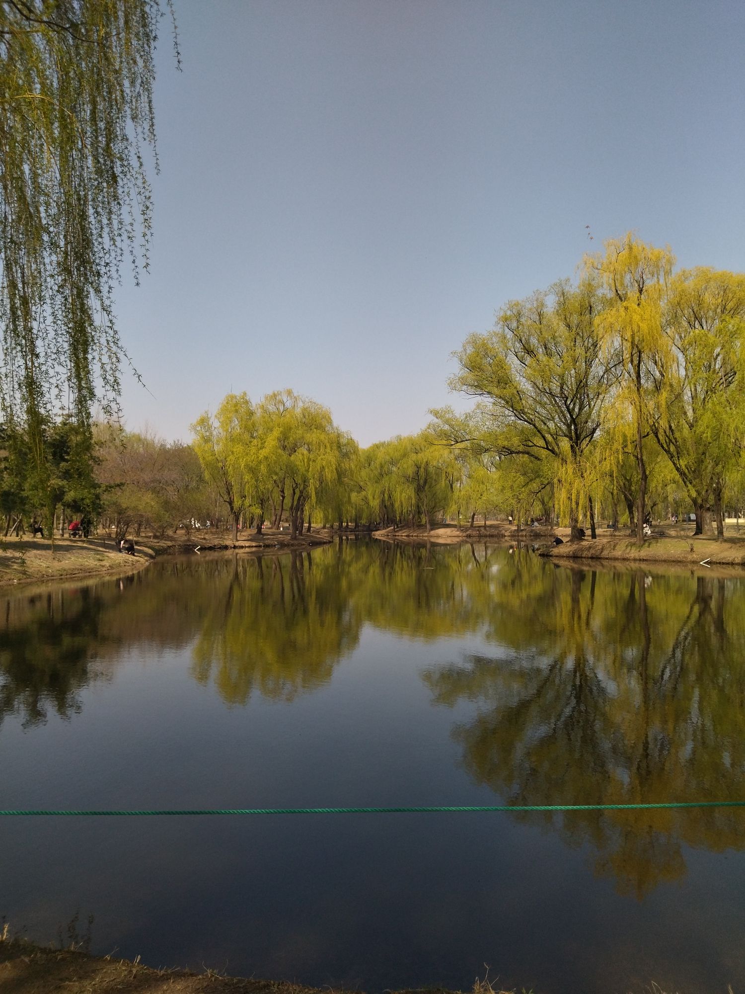 星河湾生态公园旅行图片 1