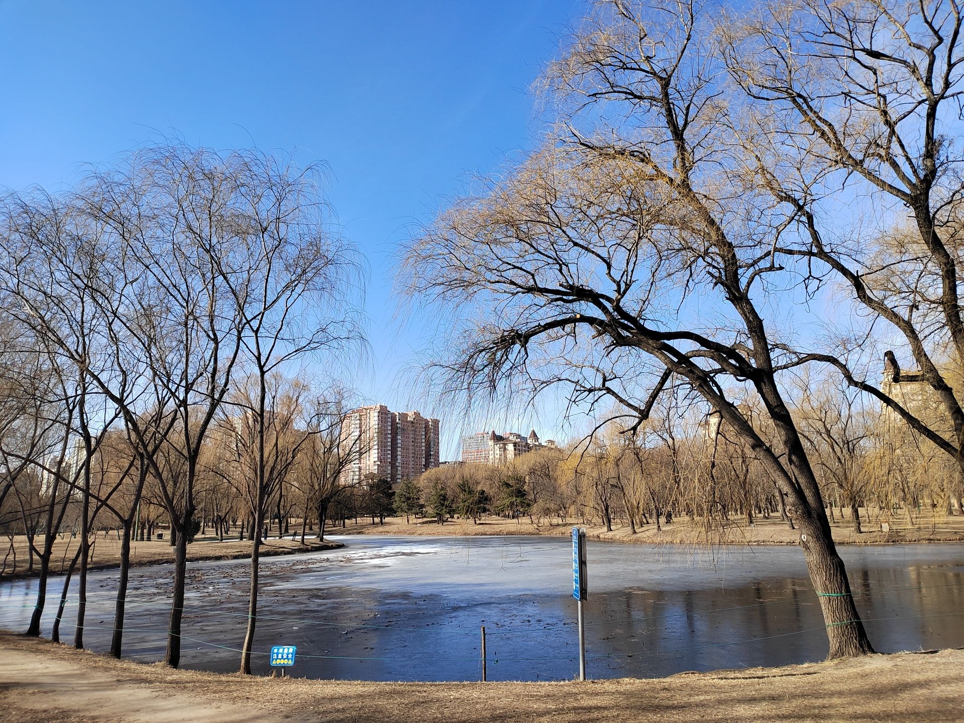 星河湾生态公园旅行图片 1