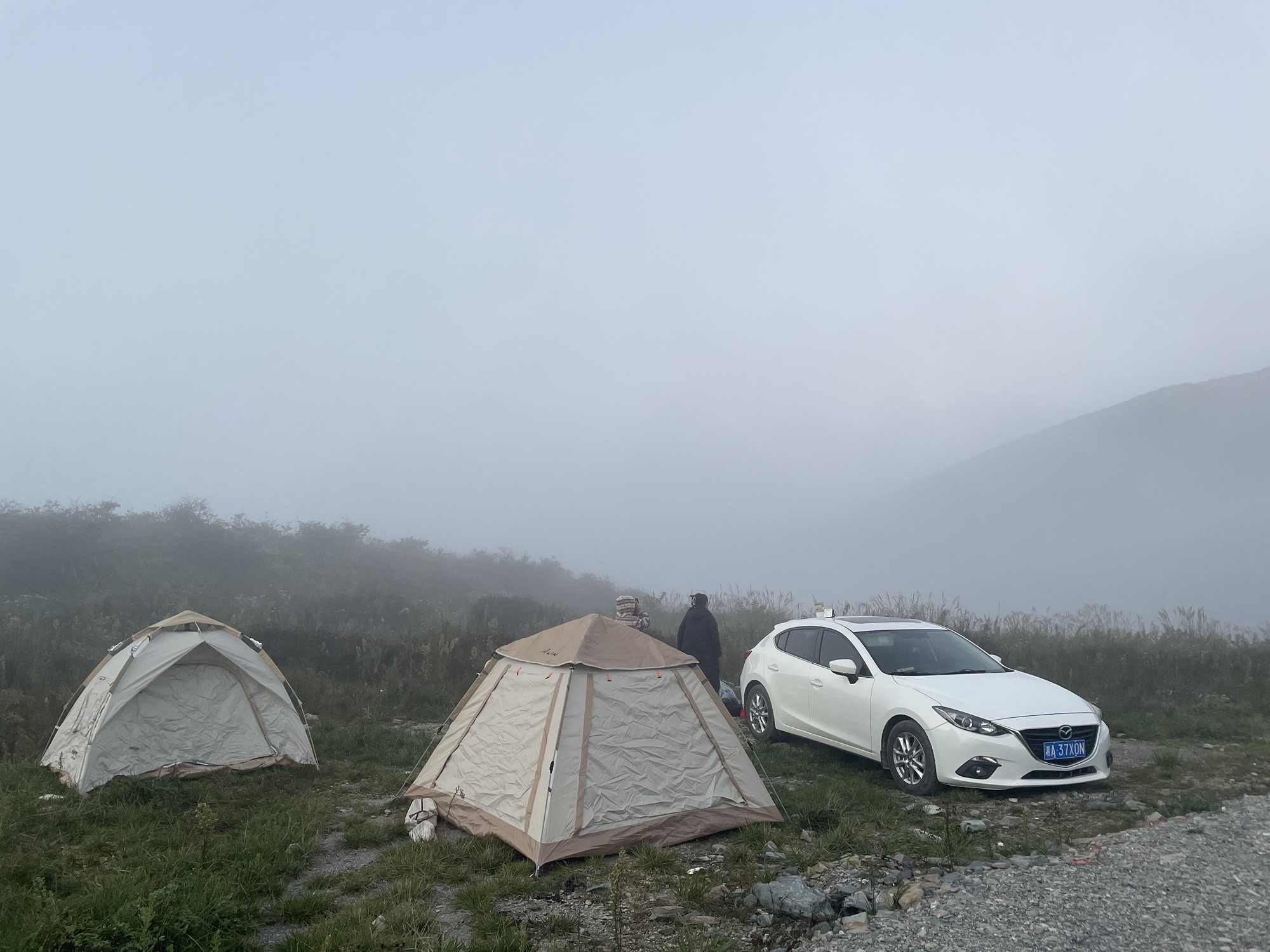 岳坪峰国家森林公园旅行图片 3