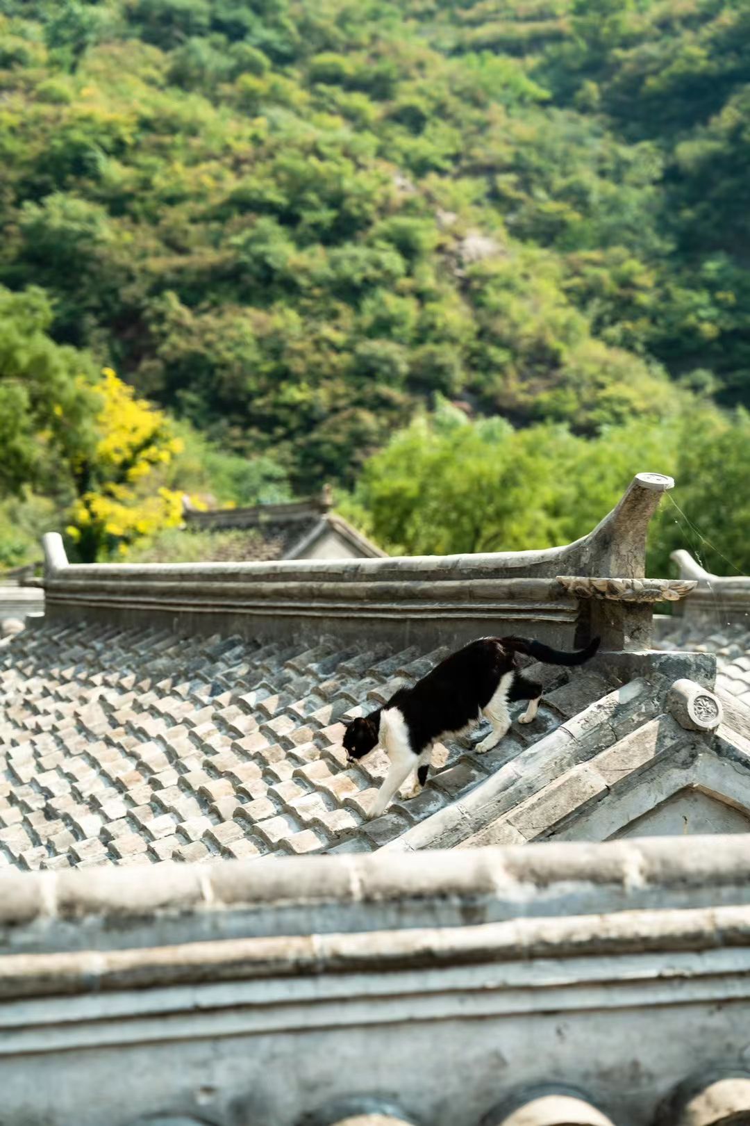 一线天旅行图片 1