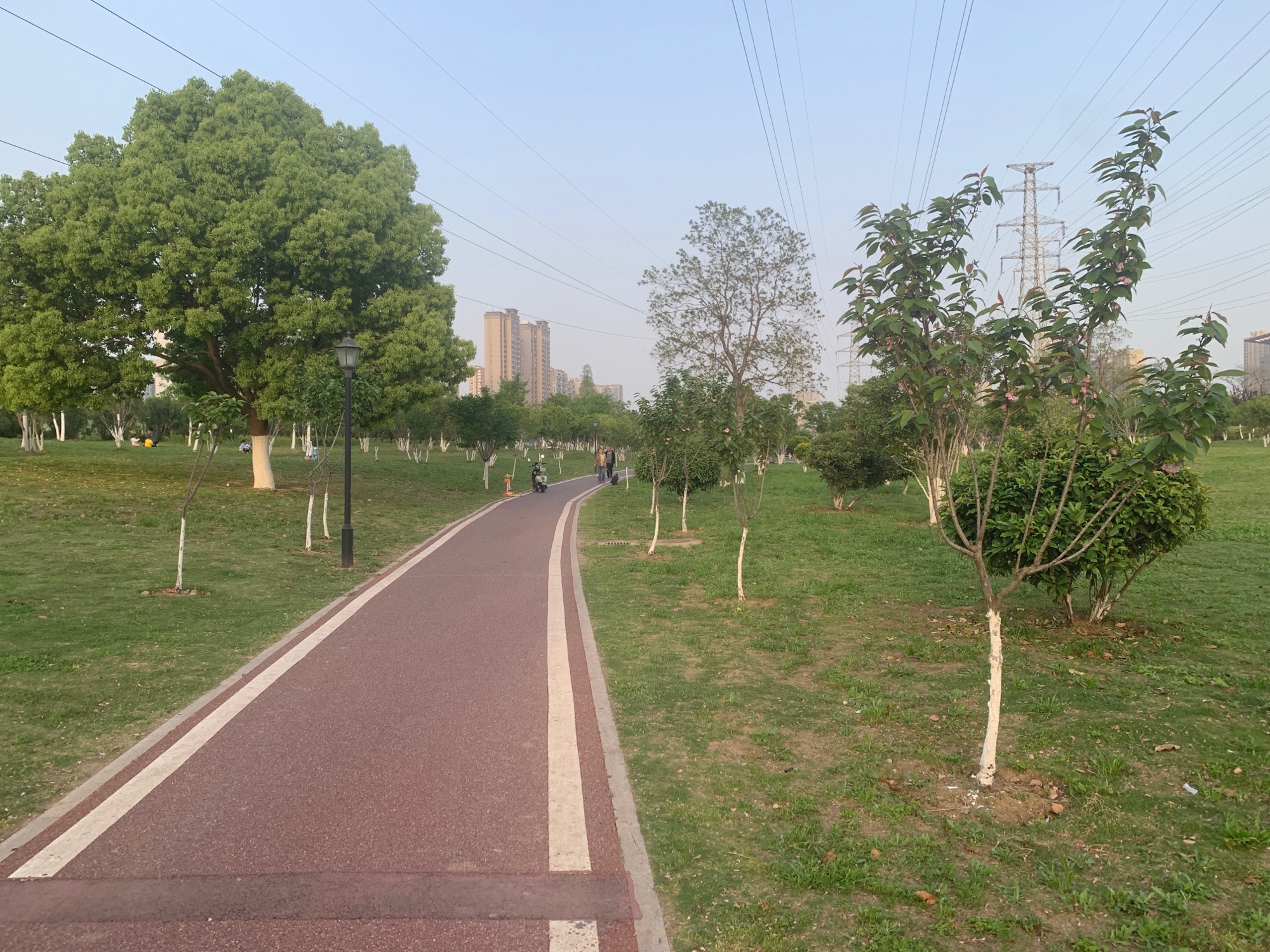 常青体育公园旅行图片 1