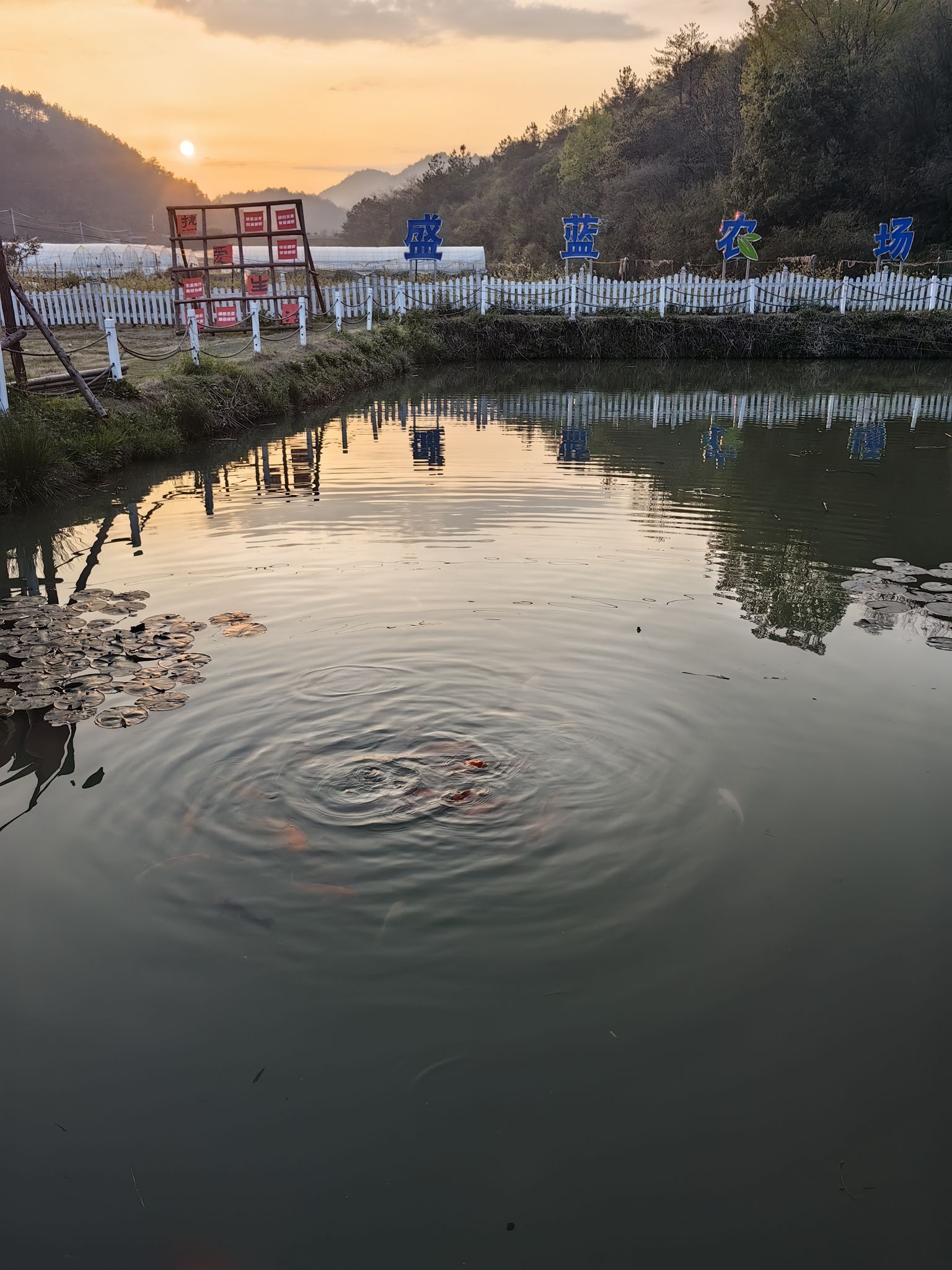 盛蓝家庭农场