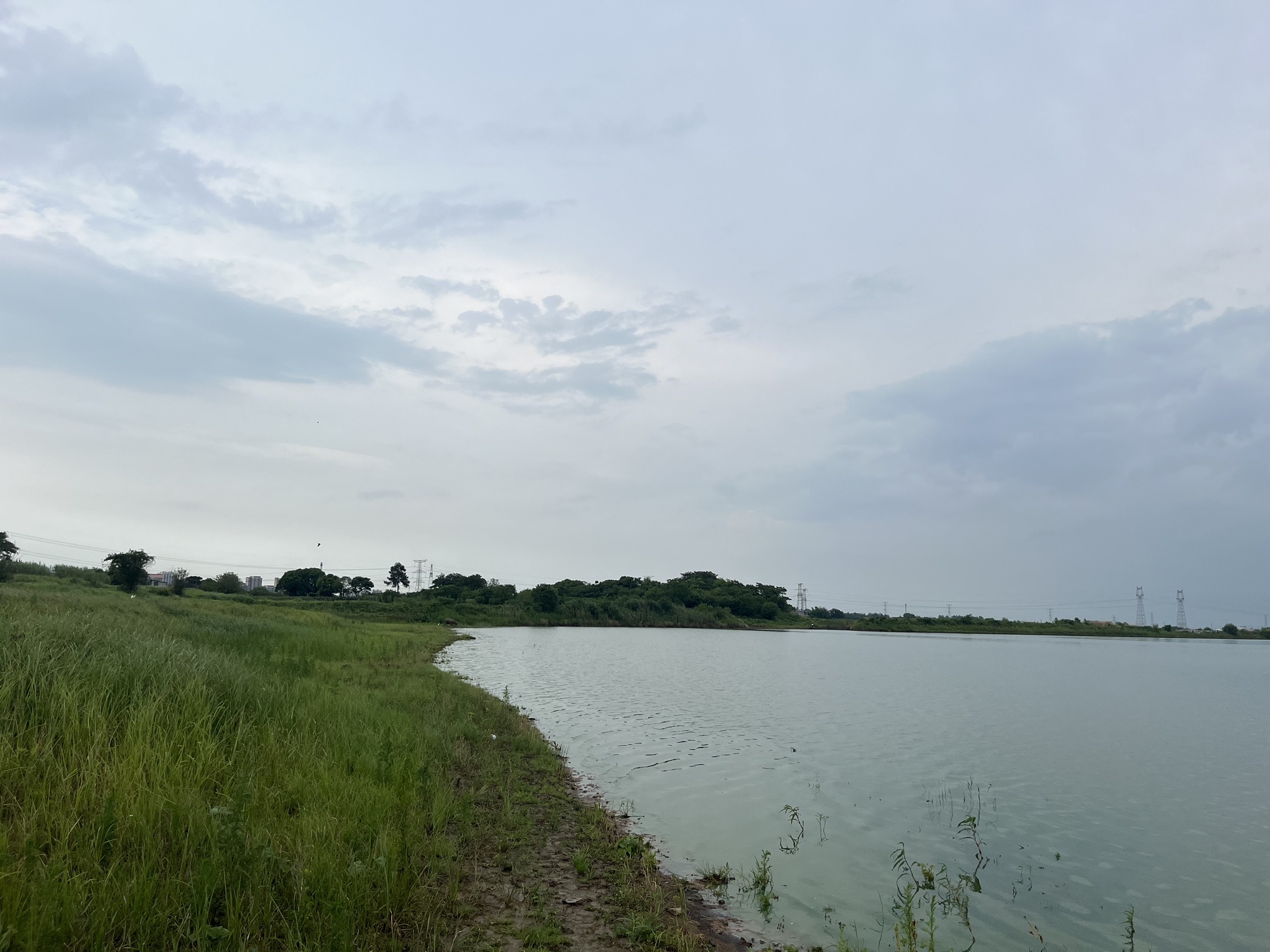 南北港生态湿地公园旅行图片 3