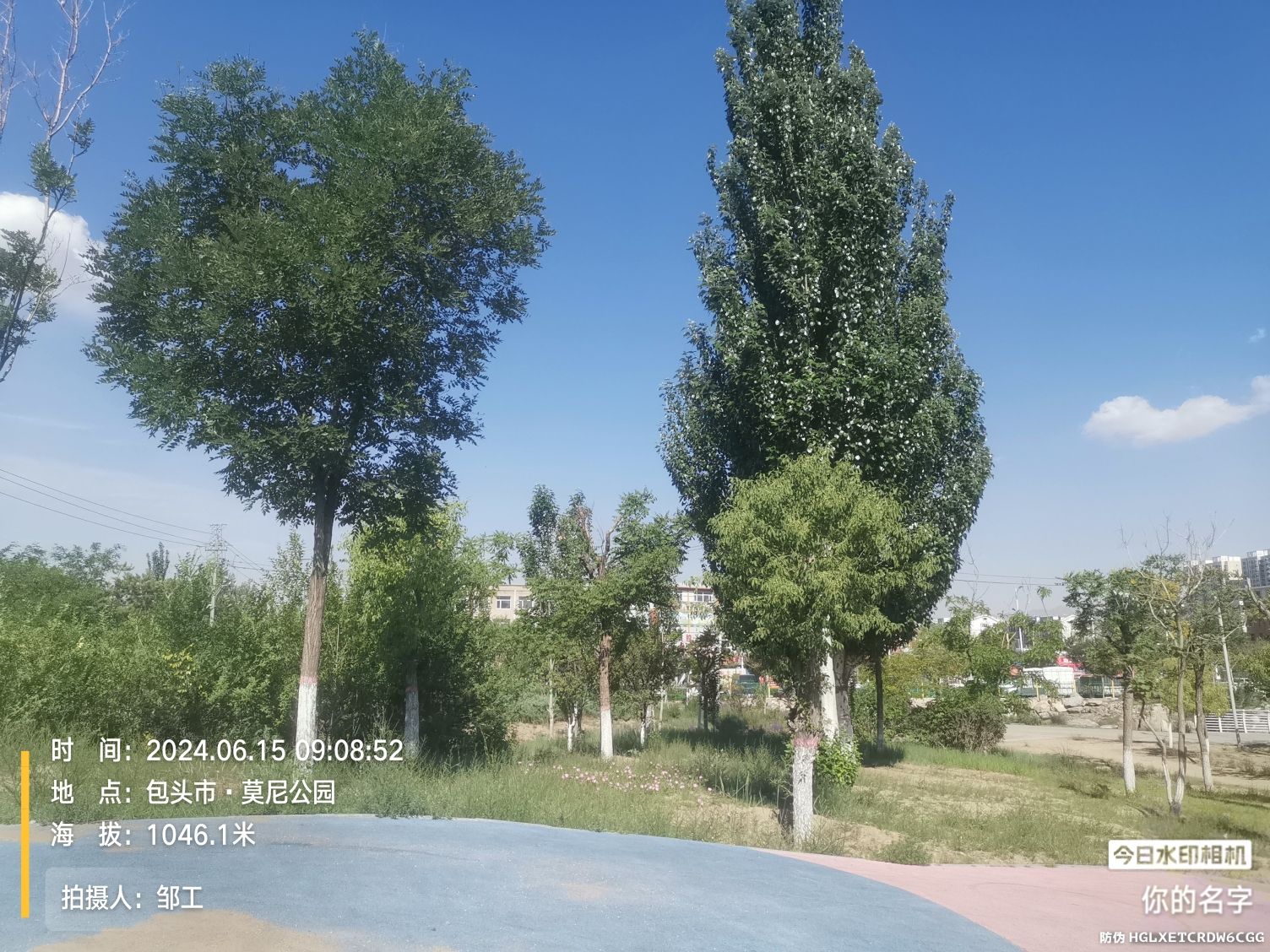 莫尼公园旅行图片 2