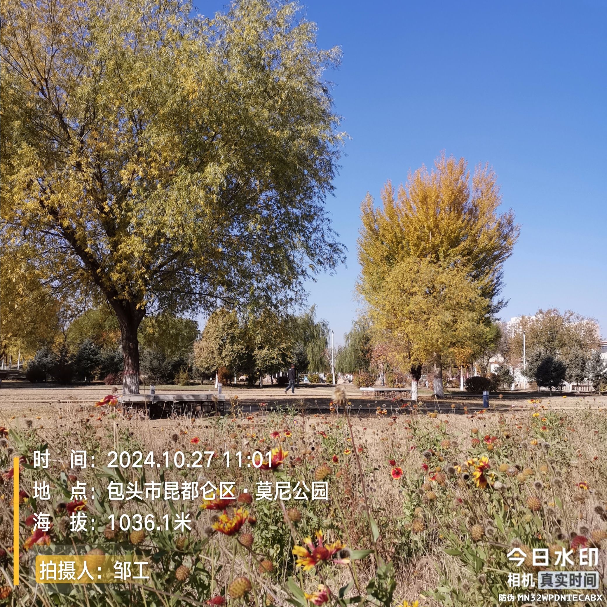 莫尼公园旅行图片 3