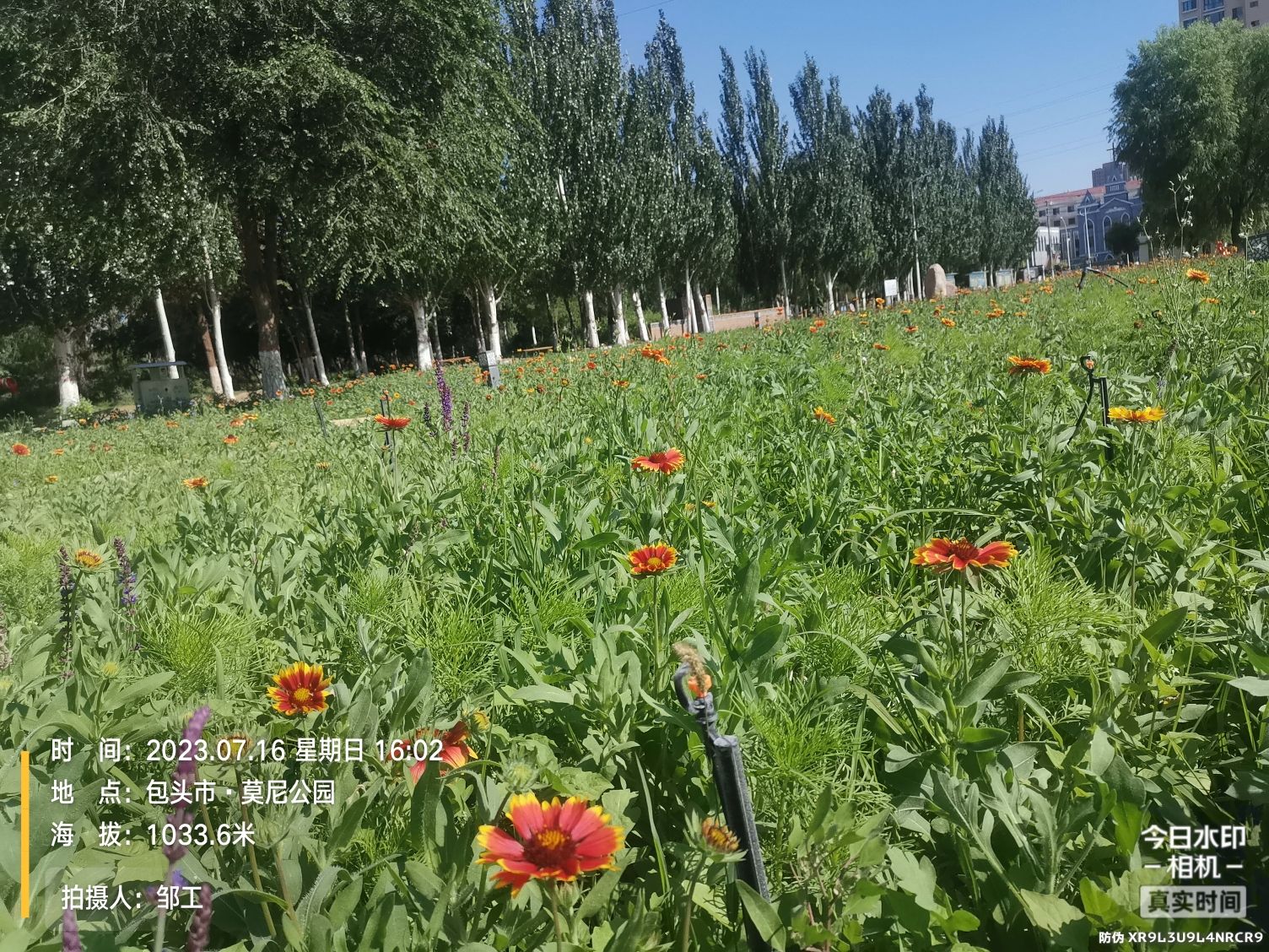 莫尼公园旅行图片 3